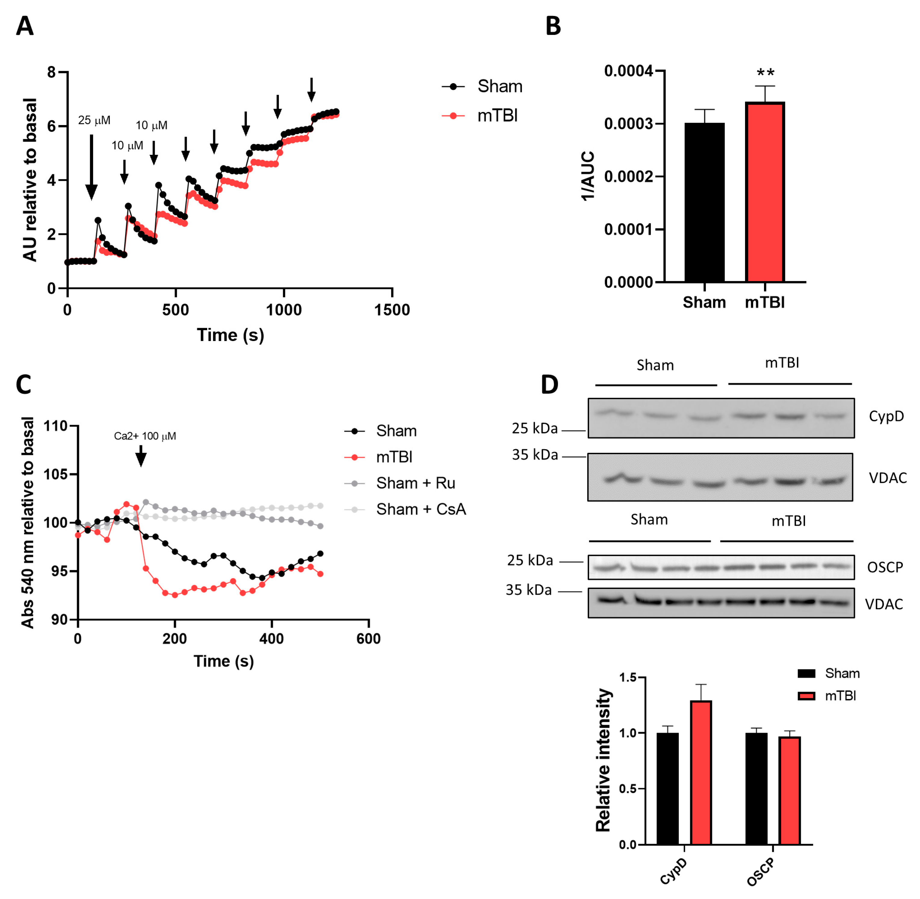 Antioxidants 12 00403 g005 Antioxidants 12 00403 g005