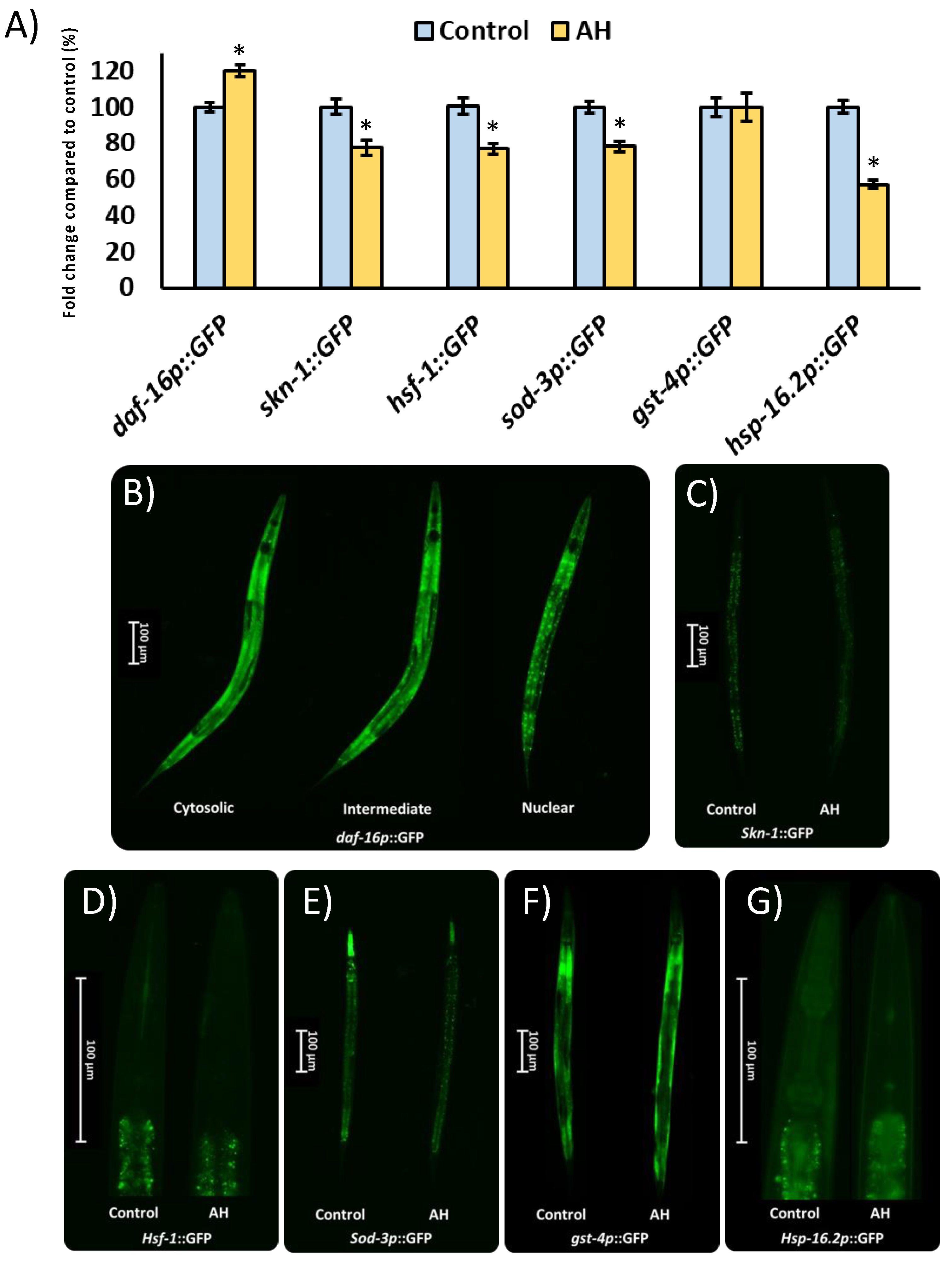 Antioxidants 12 00404 g007