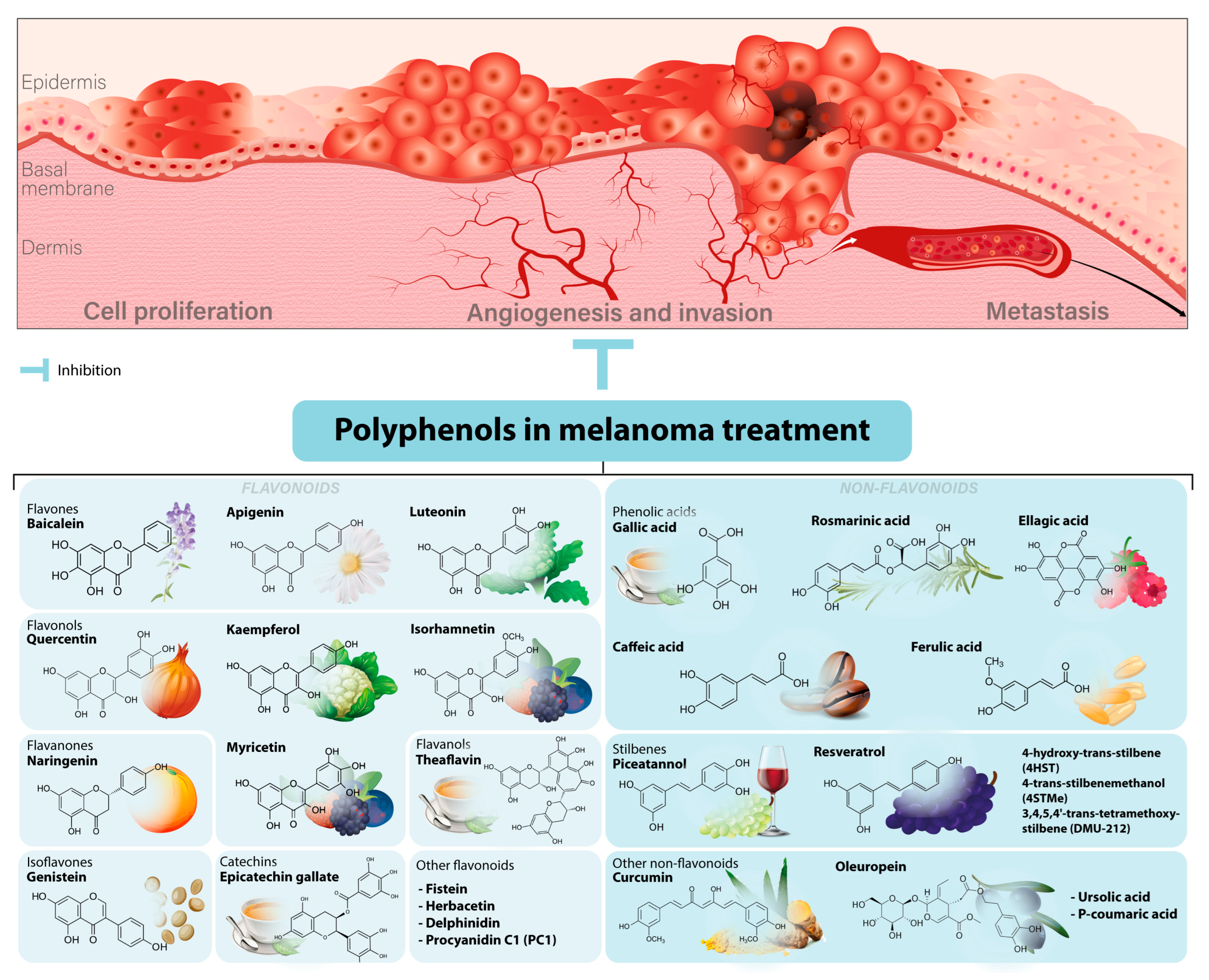 Antioxidants 12 00407 g001 Antioxidants 12 00407 g001