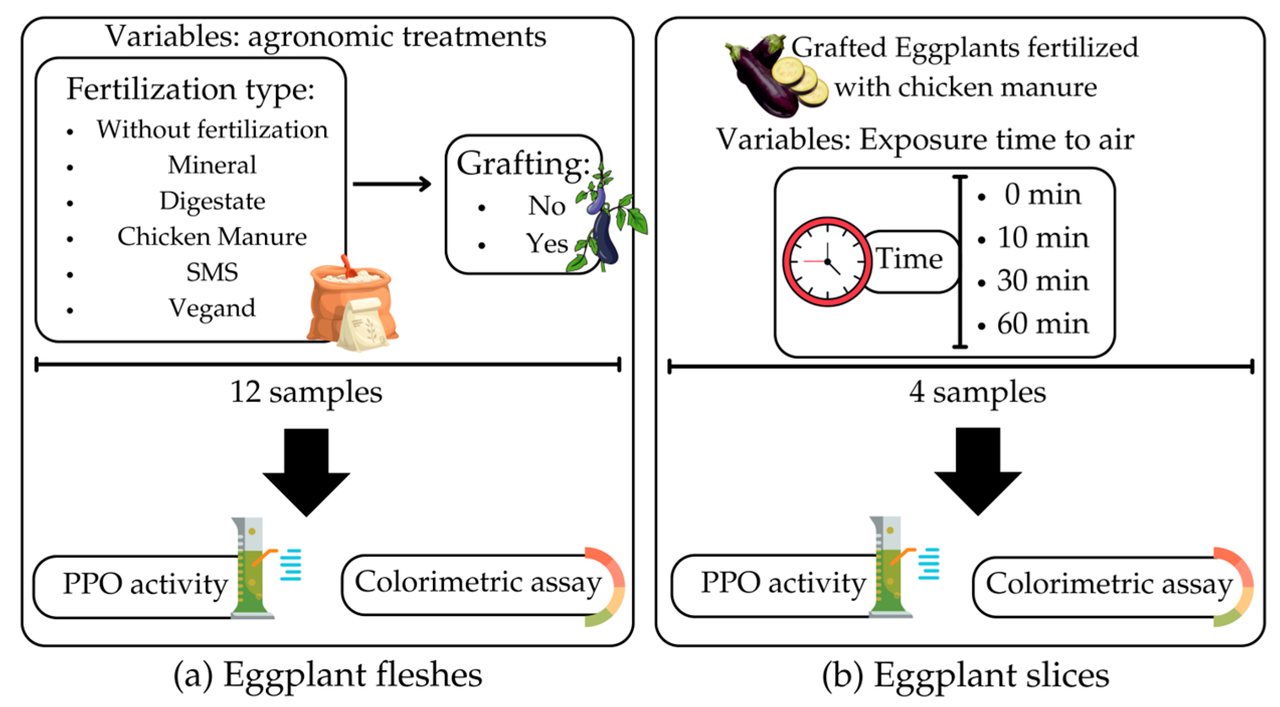 Antioxidants 12 00410 g001