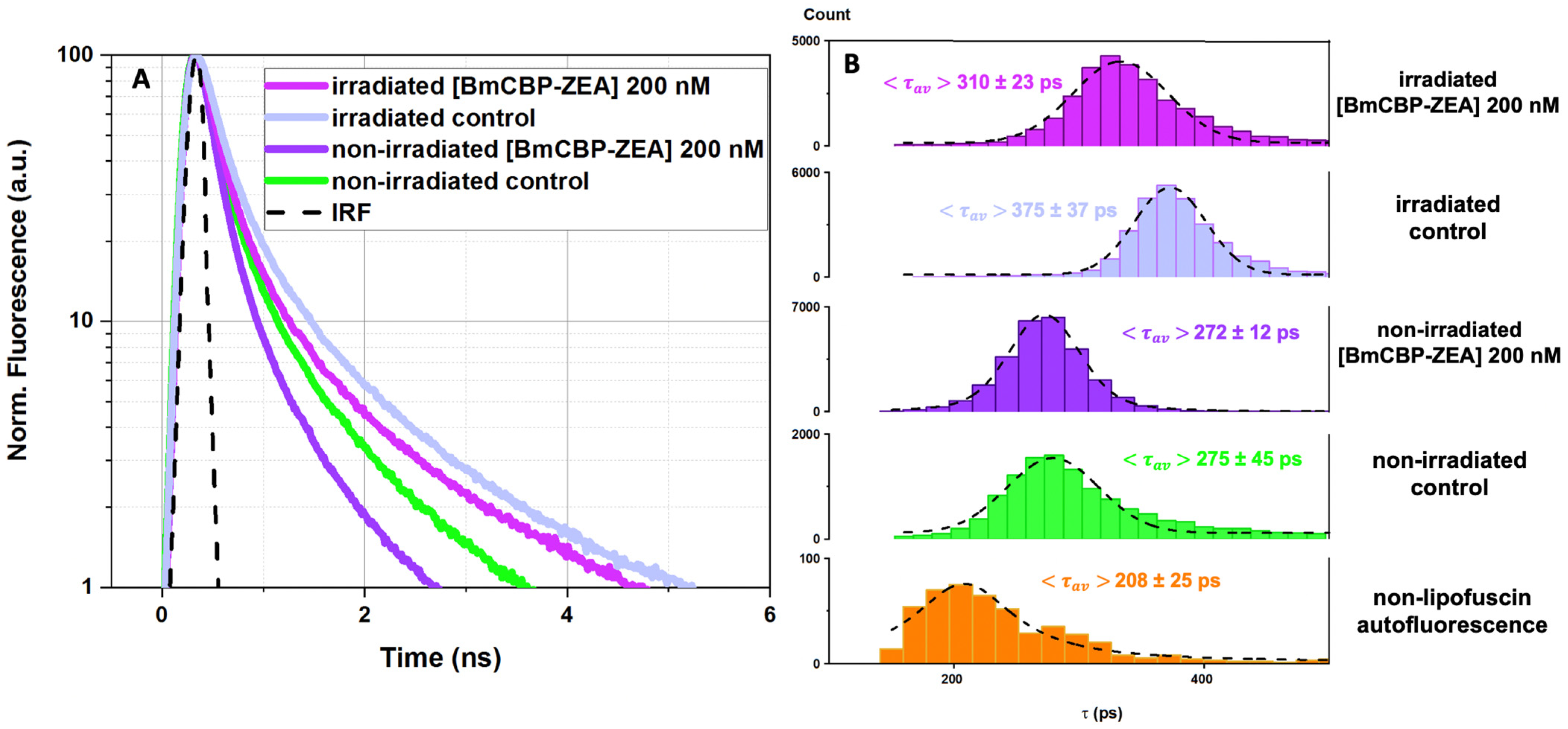 Antioxidants 12 00413 g006