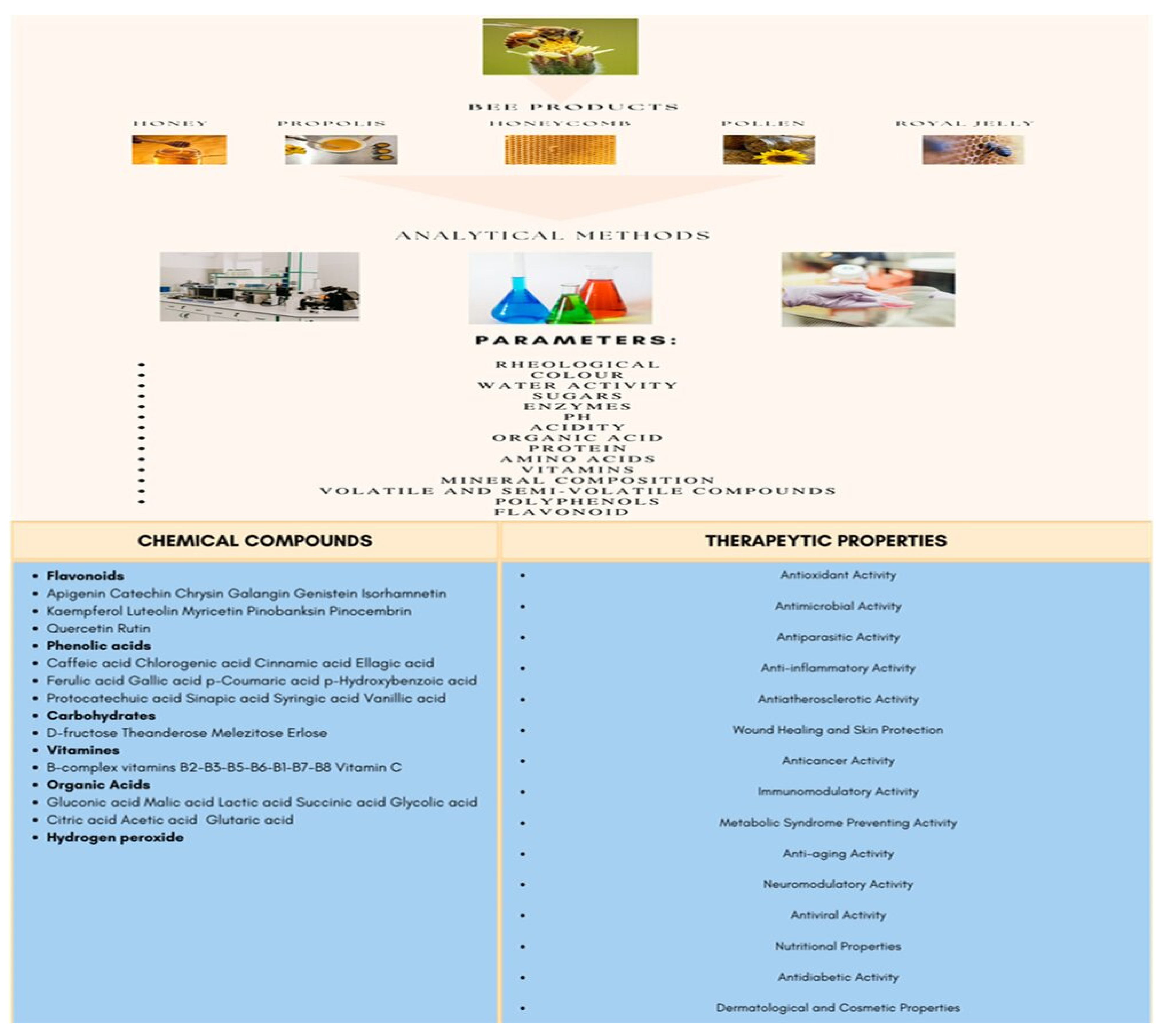 Antioxidants 12 00414 g001