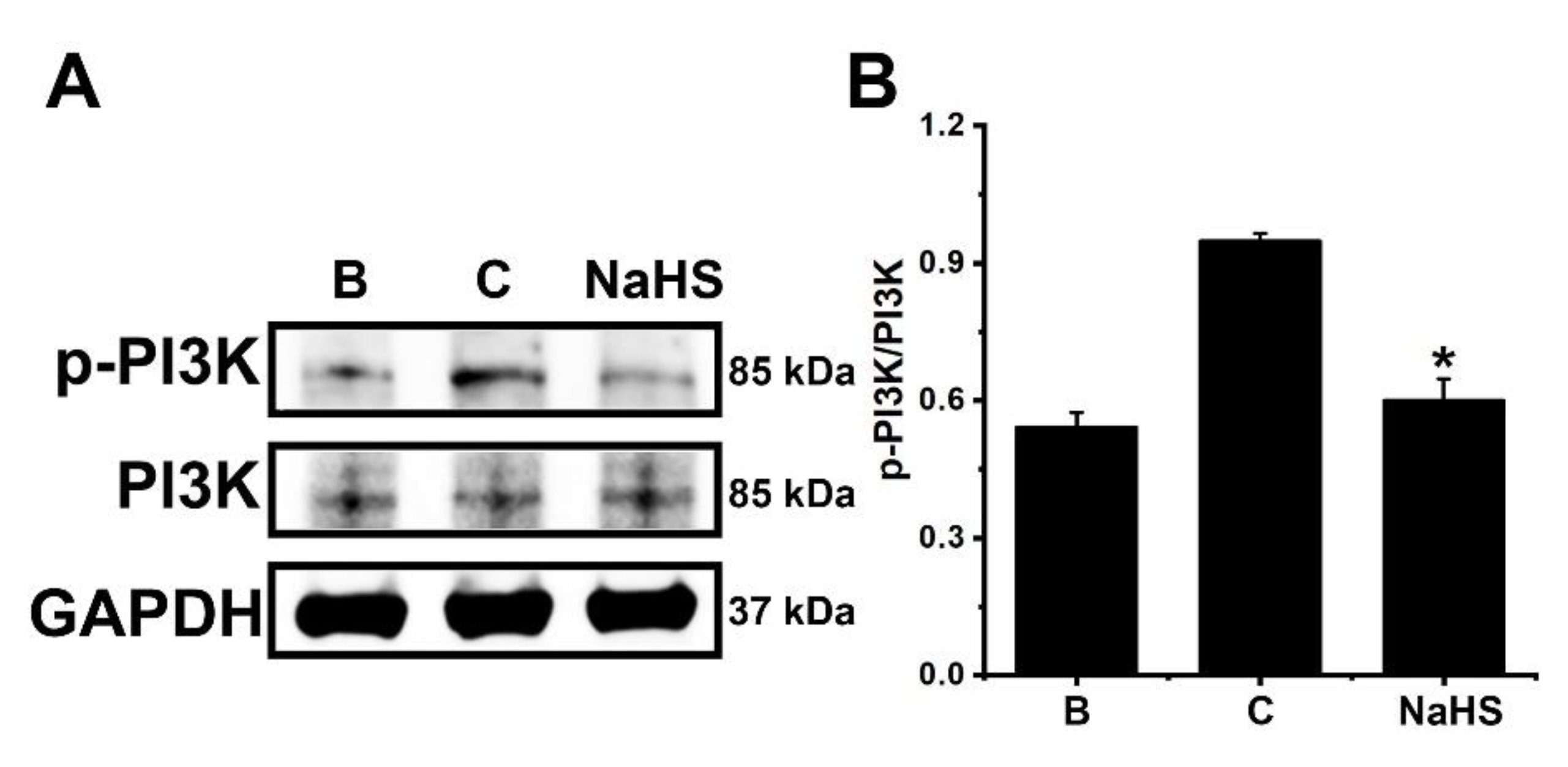 Antioxidants 12 00417 g003