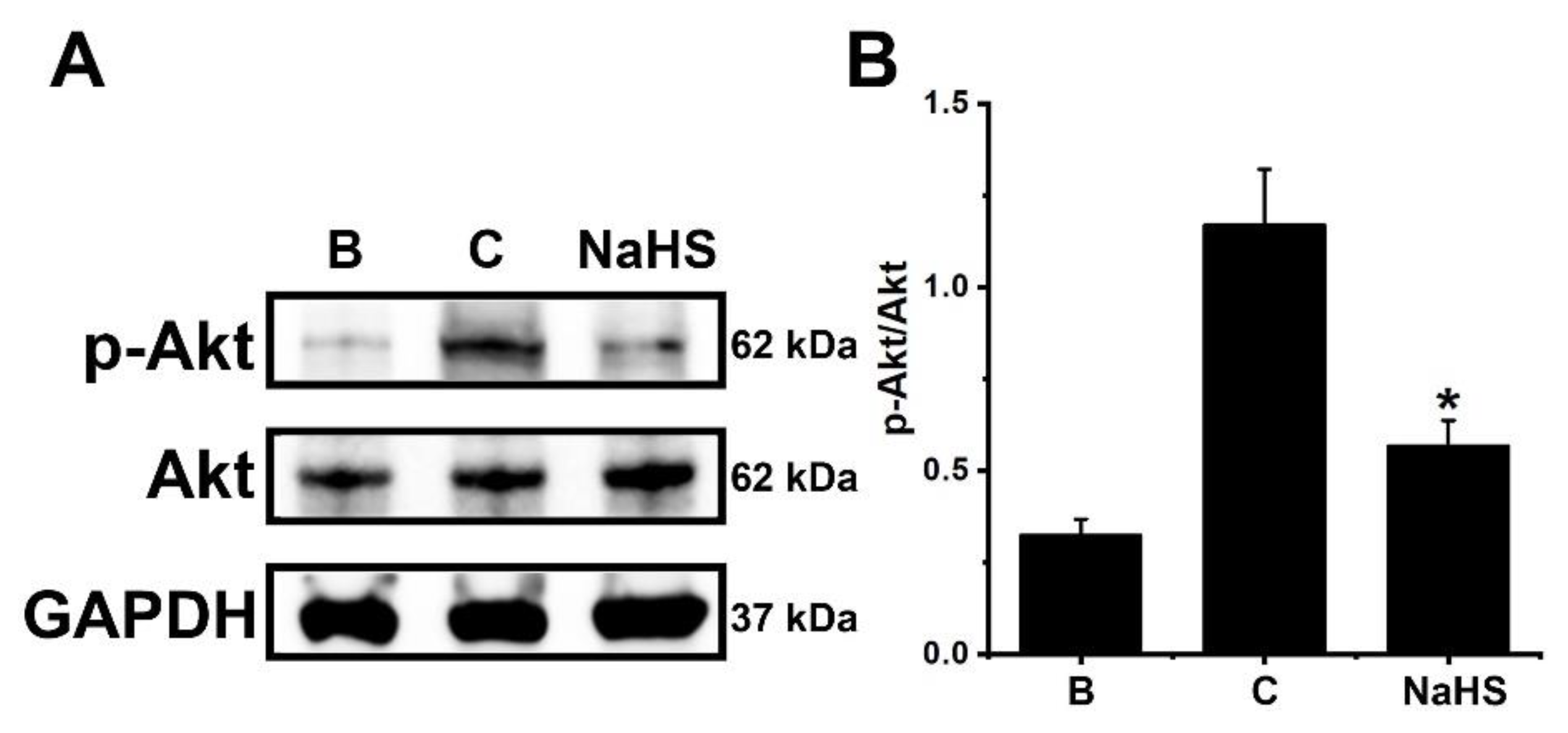 Antioxidants 12 00417 g004