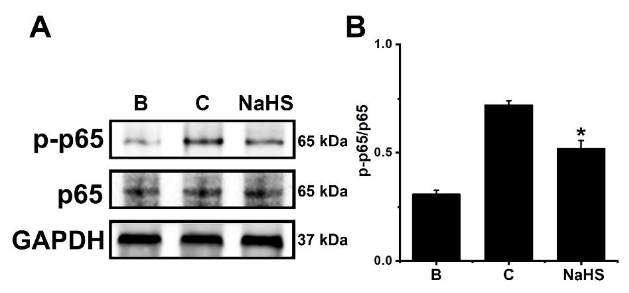 Antioxidants 12 00417 g005