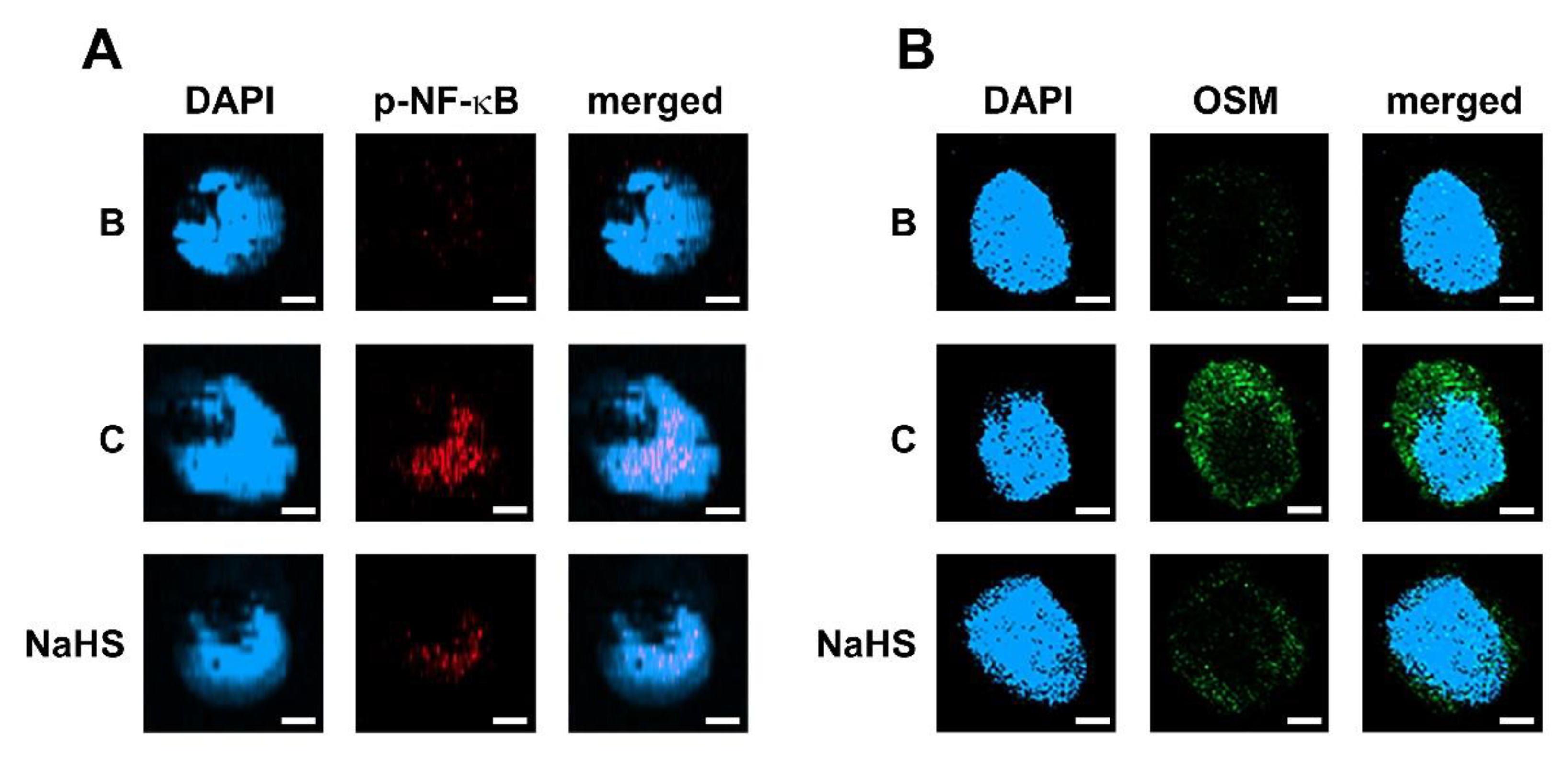 Antioxidants 12 00417 g006