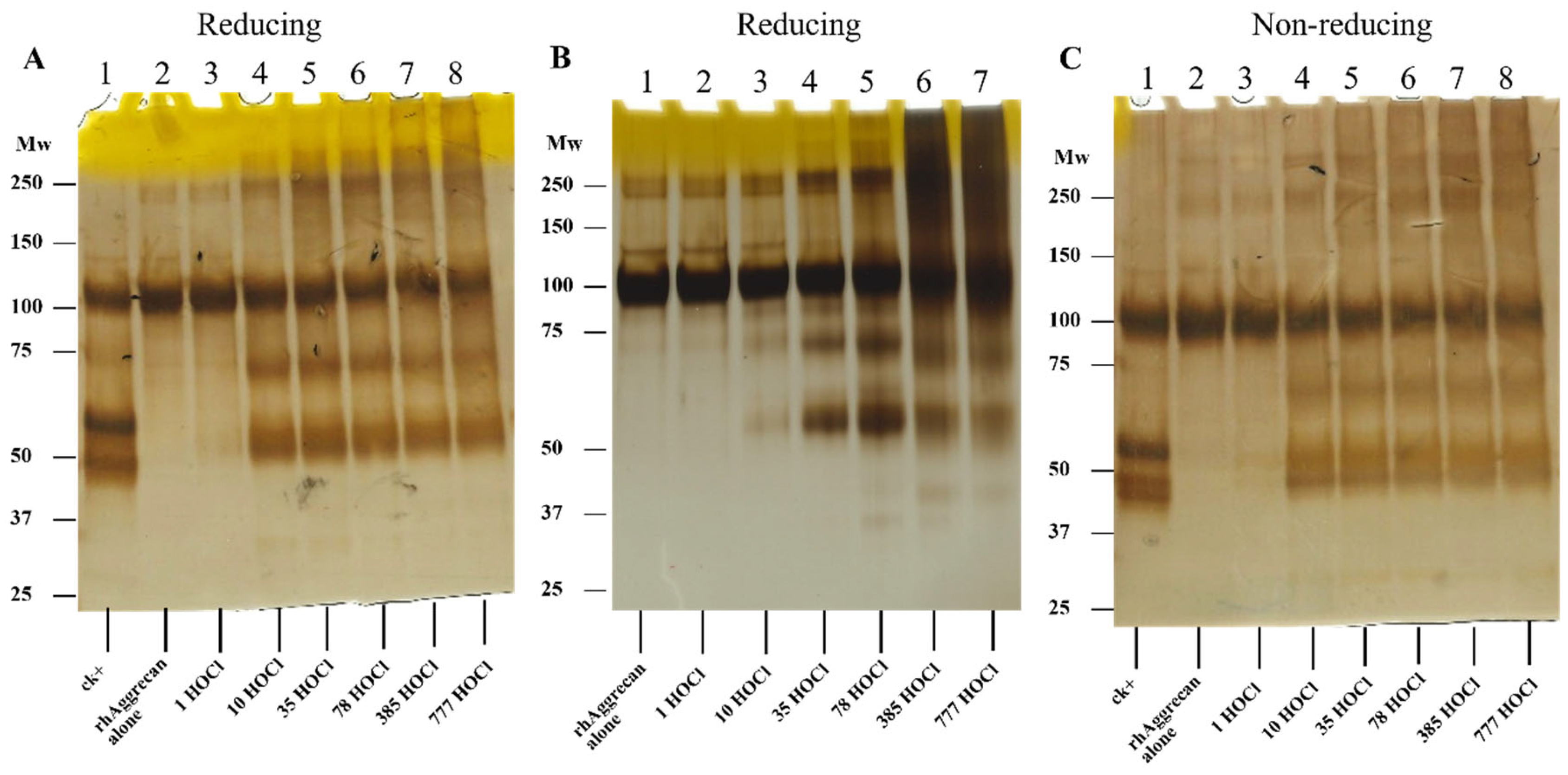 Antioxidants 12 00420 g002