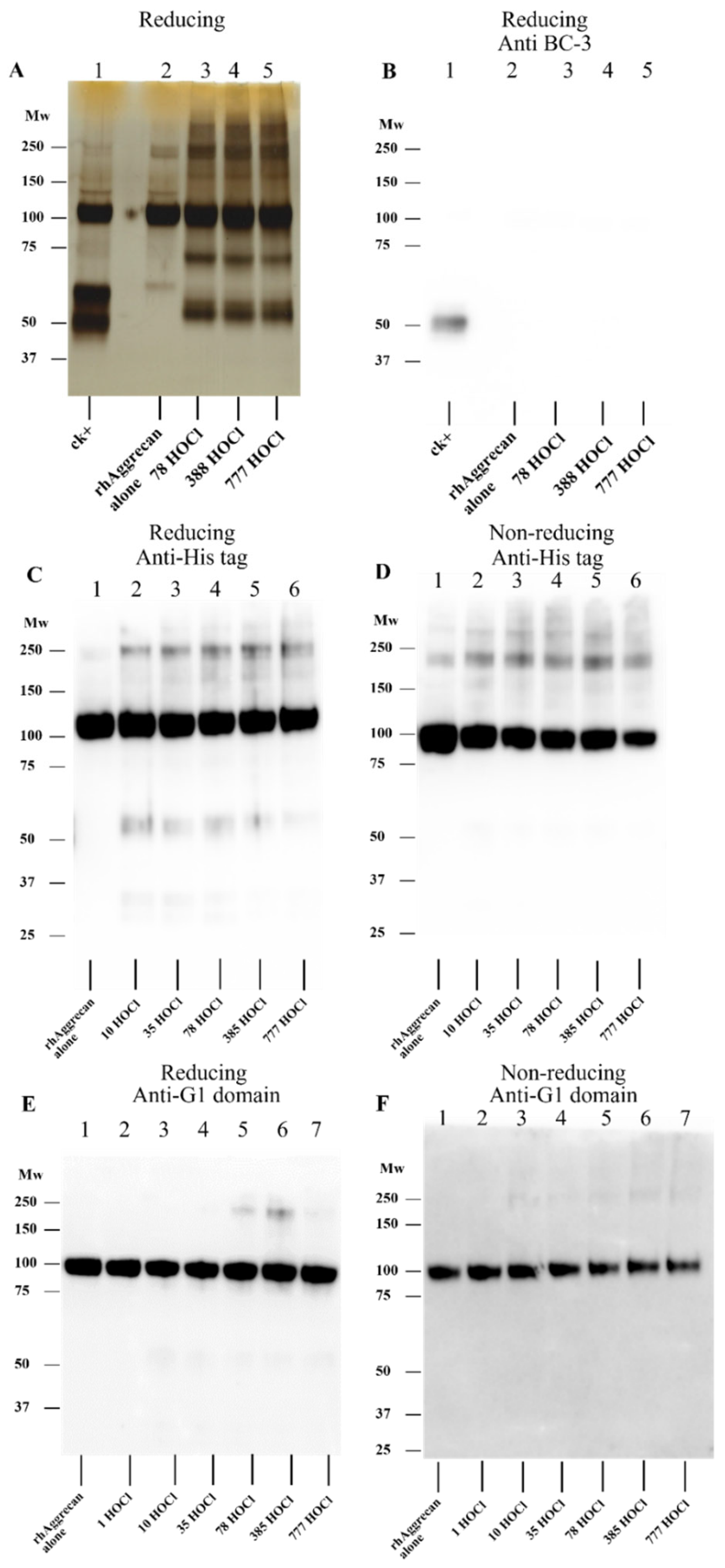 Antioxidants 12 00420 g003
