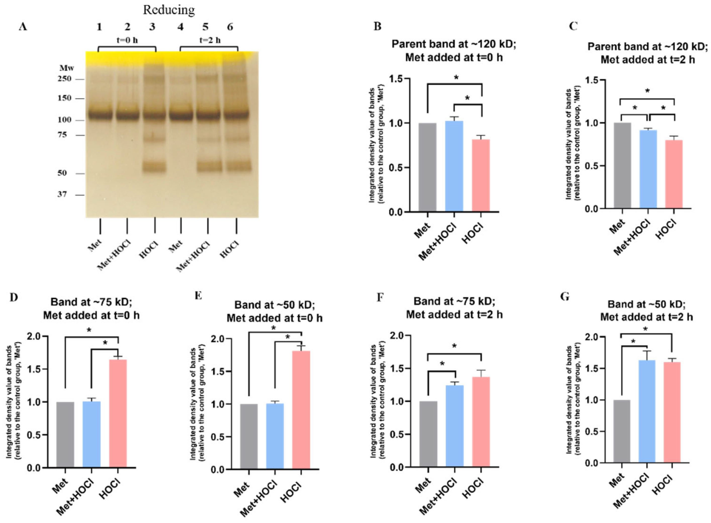 Antioxidants 12 00420 g004