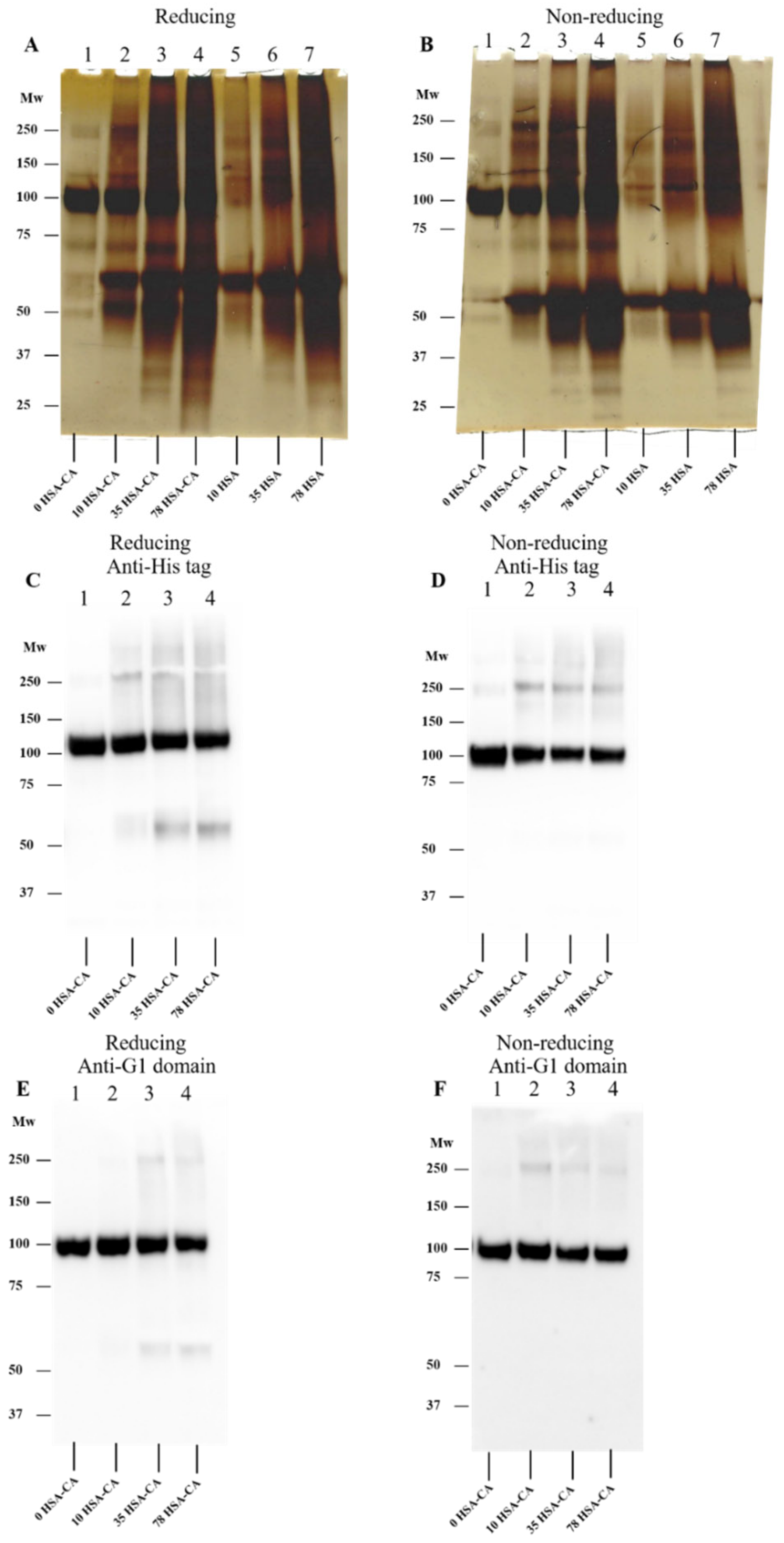 Antioxidants 12 00420 g008