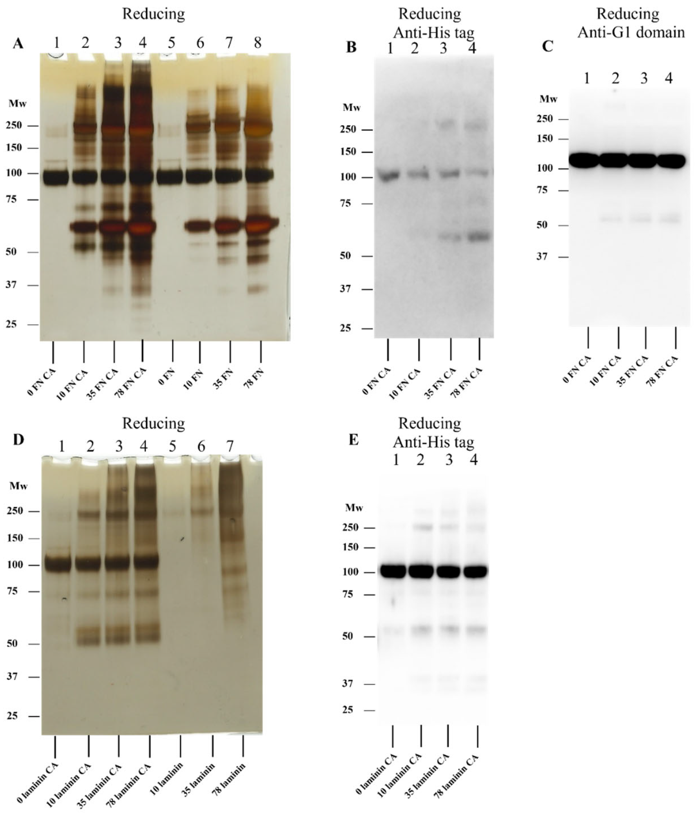 Antioxidants 12 00420 g009