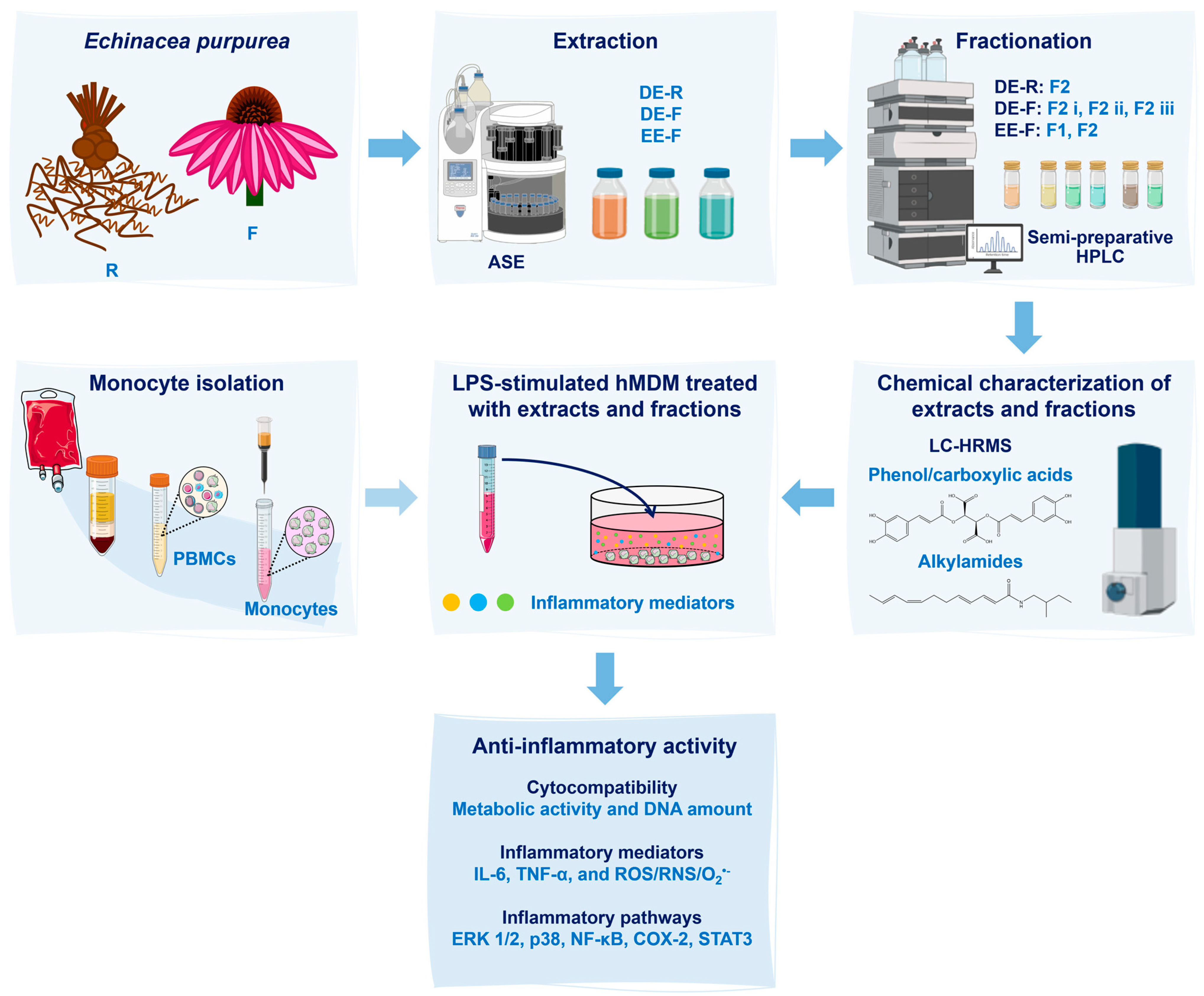 Antioxidants 12 00425 g001