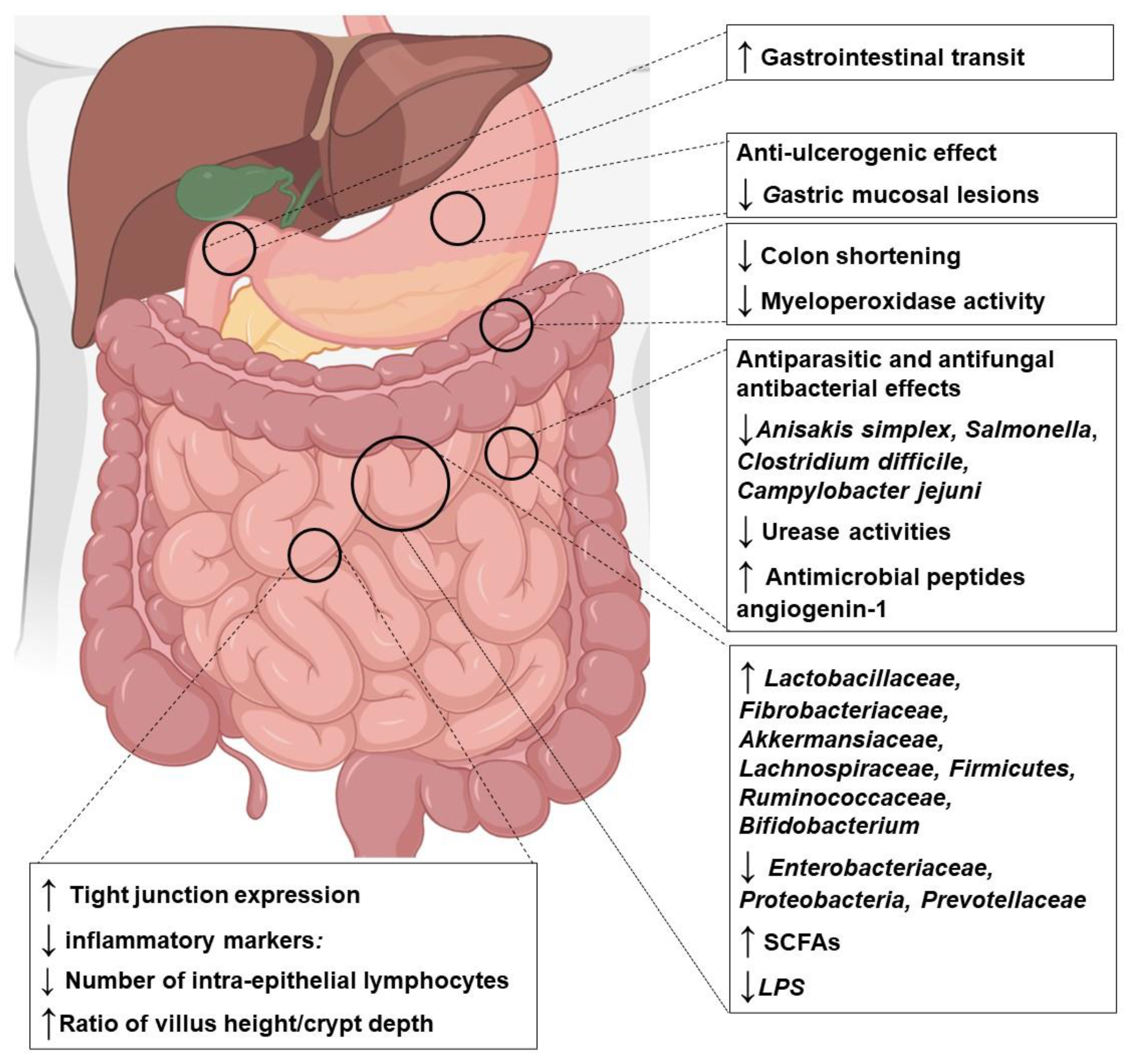 Antioxidants 12 00426 g003