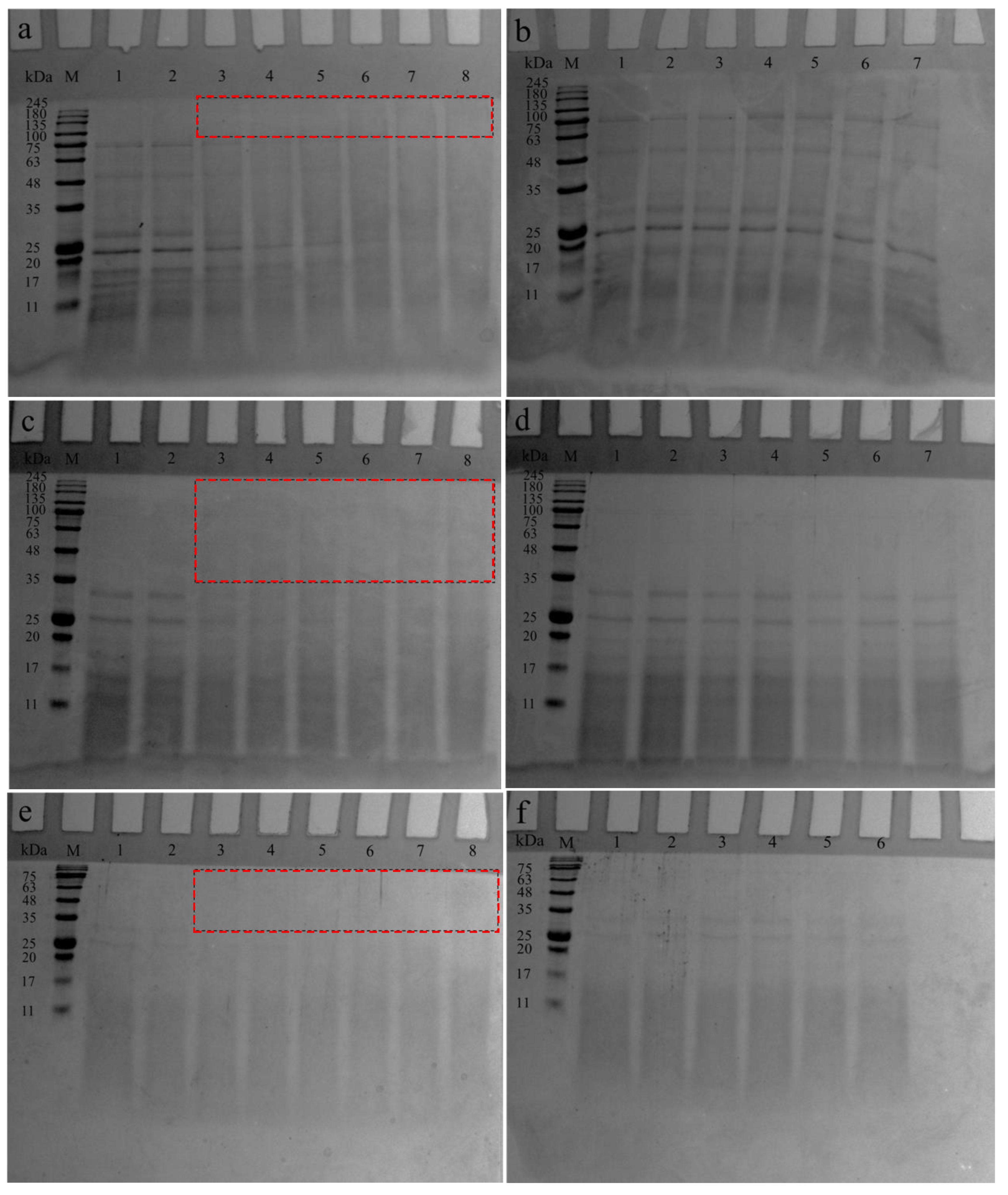 Antioxidants 12 00430 g002