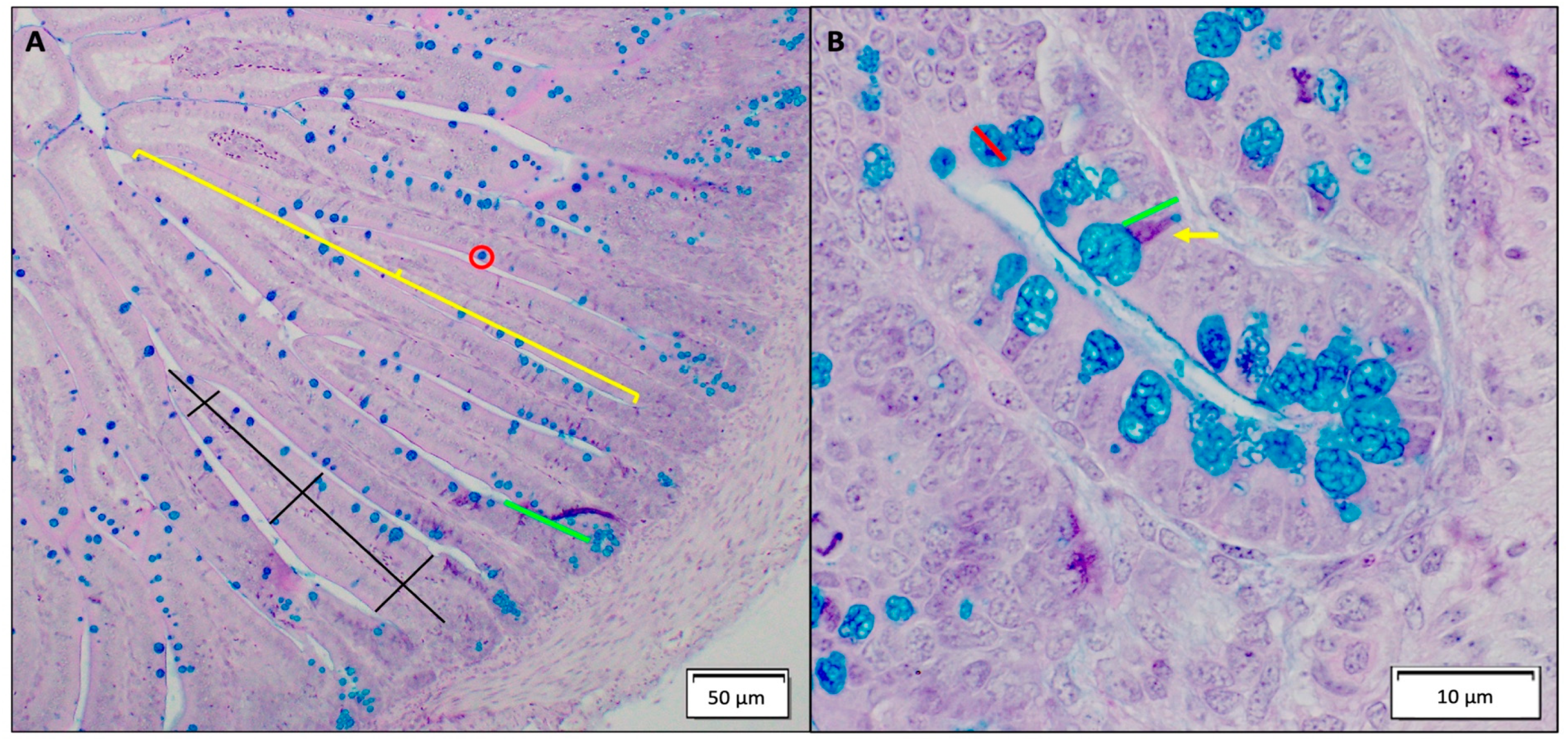 Antioxidants 12 00431 g001