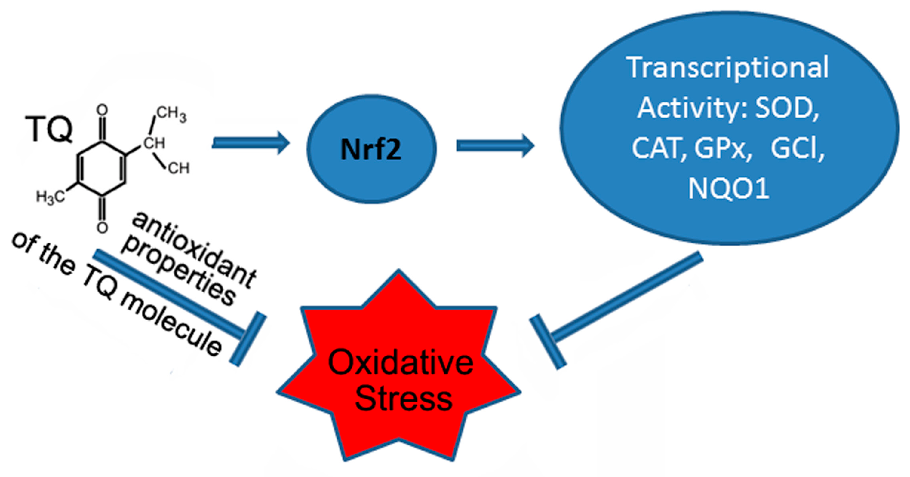 Antioxidants 12 00433 g001