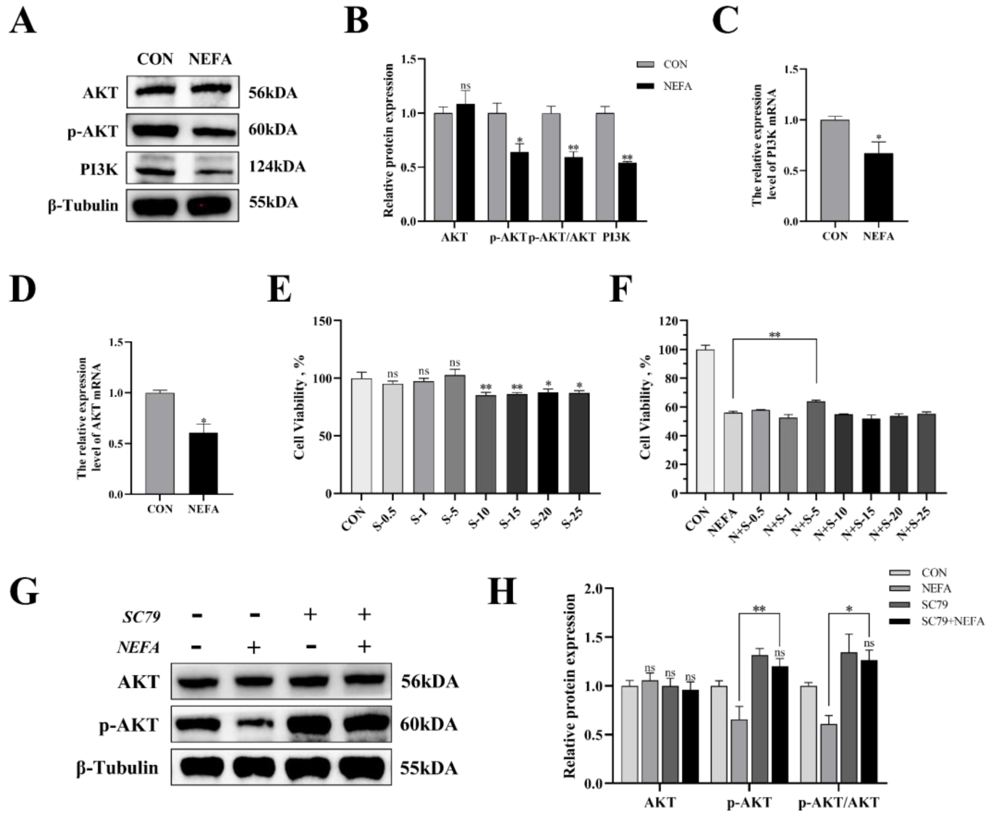 Antioxidants 12 00434 g005