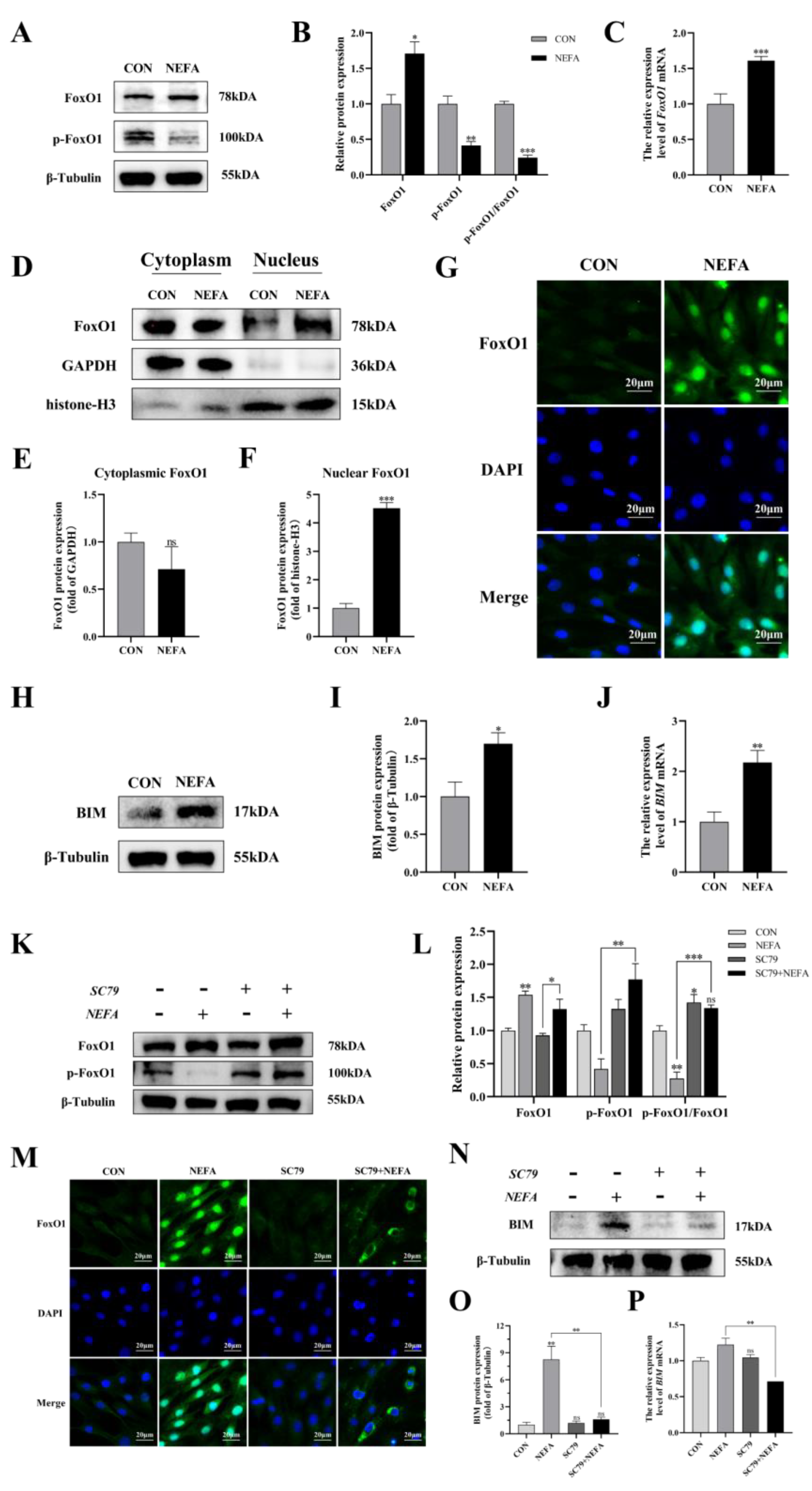 Antioxidants 12 00434 g009