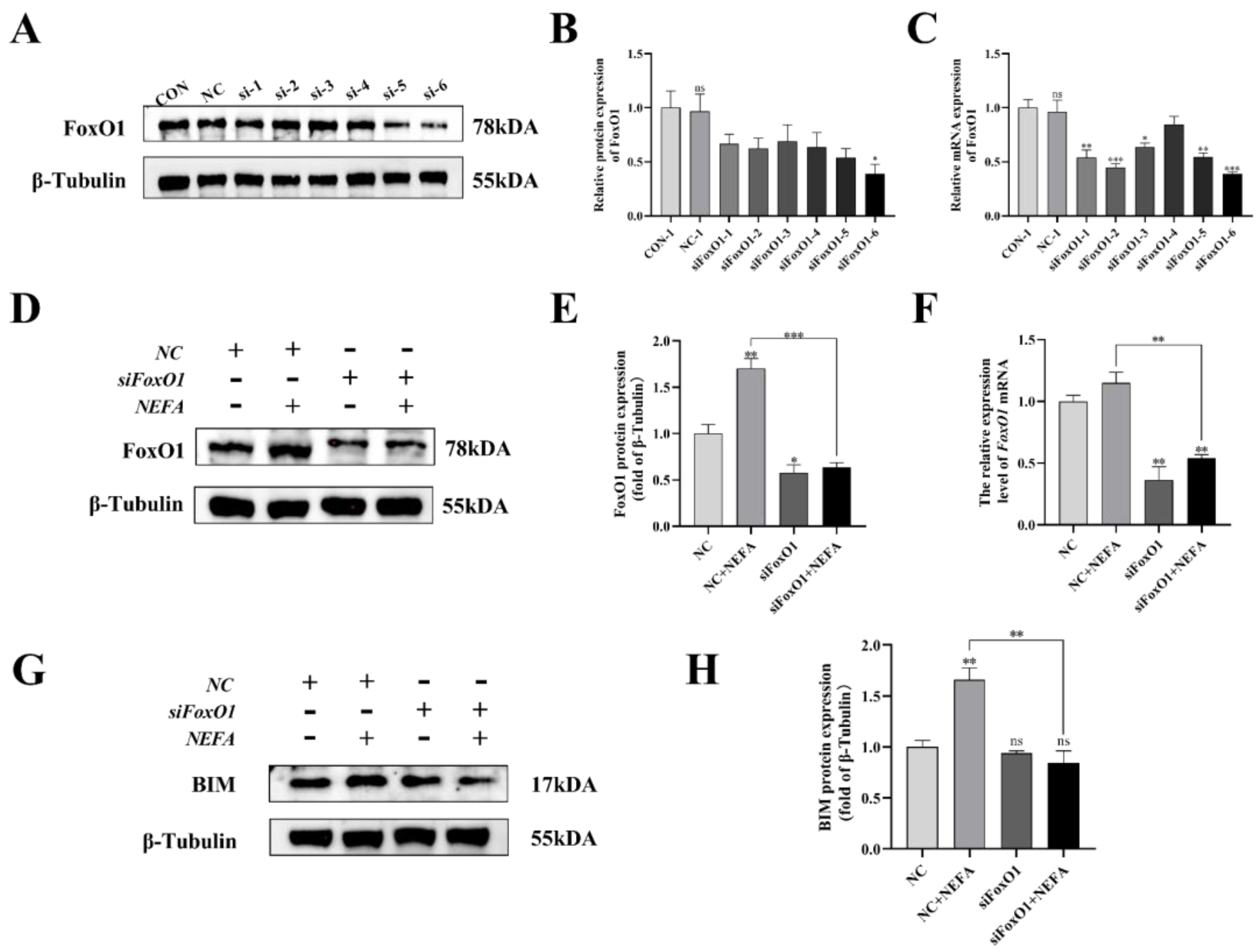 Antioxidants 12 00434 g010