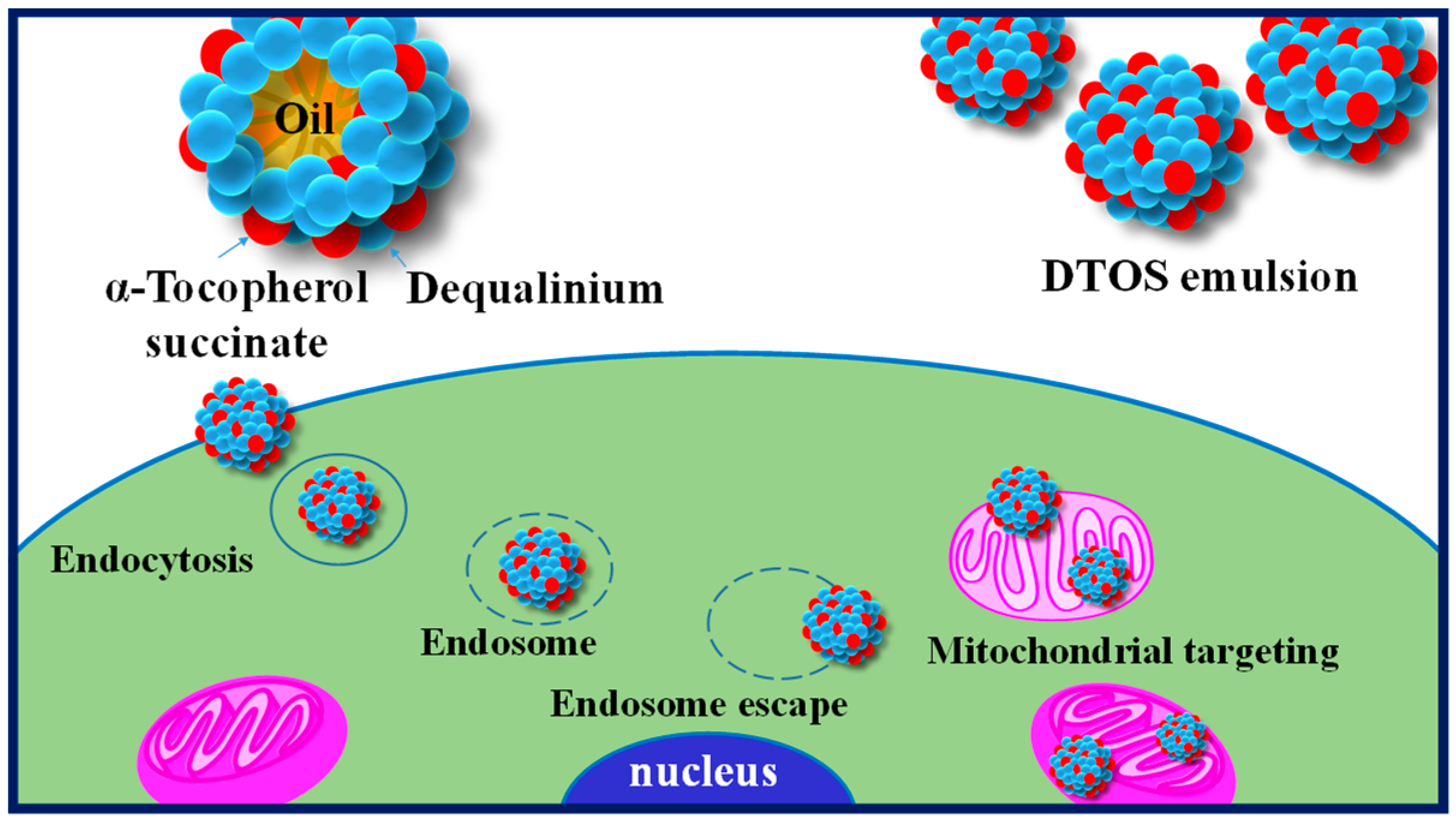 Antioxidants 12 00437 g001