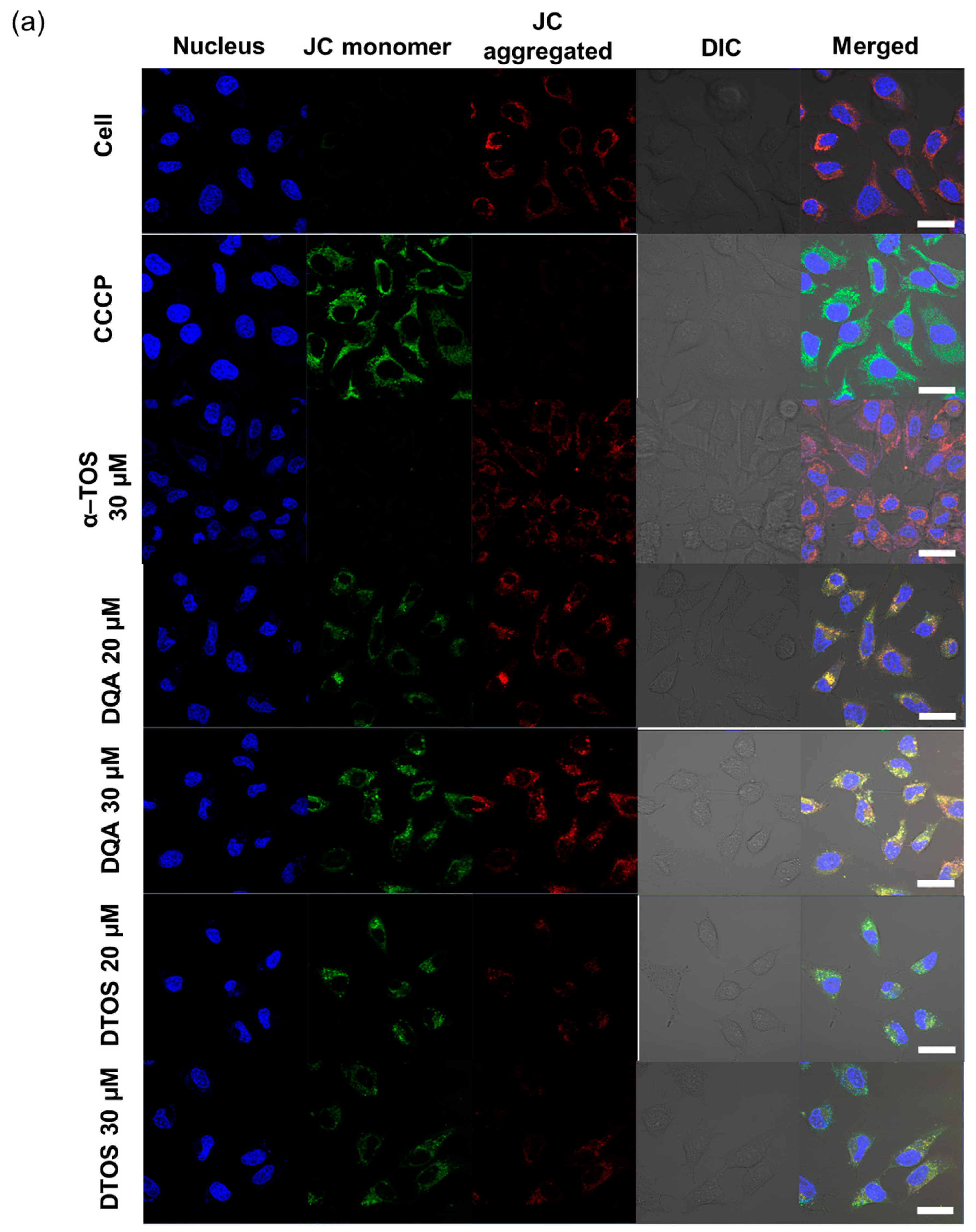 Antioxidants 12 00437 g007a