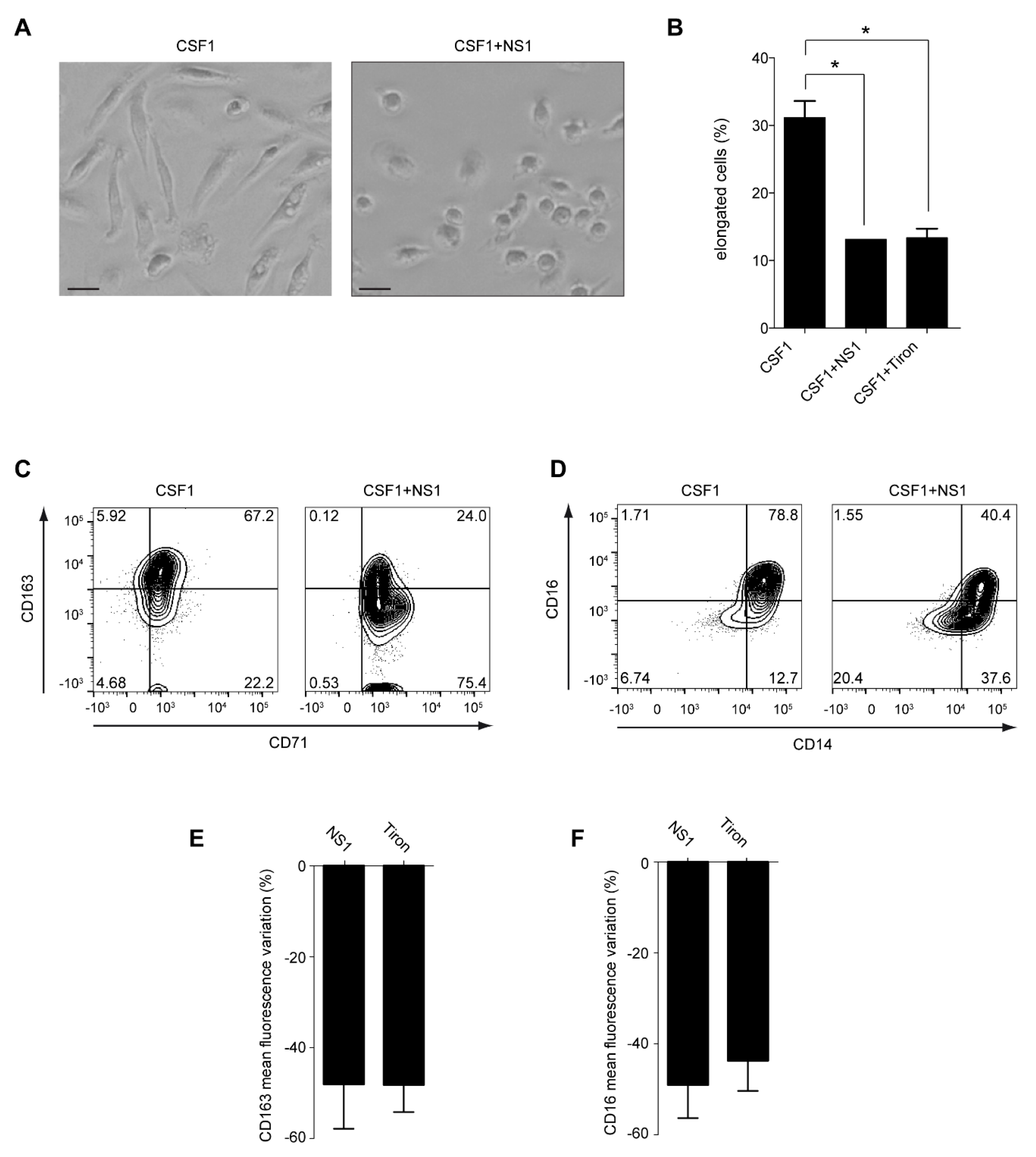 Antioxidants 12 00440 g001 Antioxidants 12 00440 g001