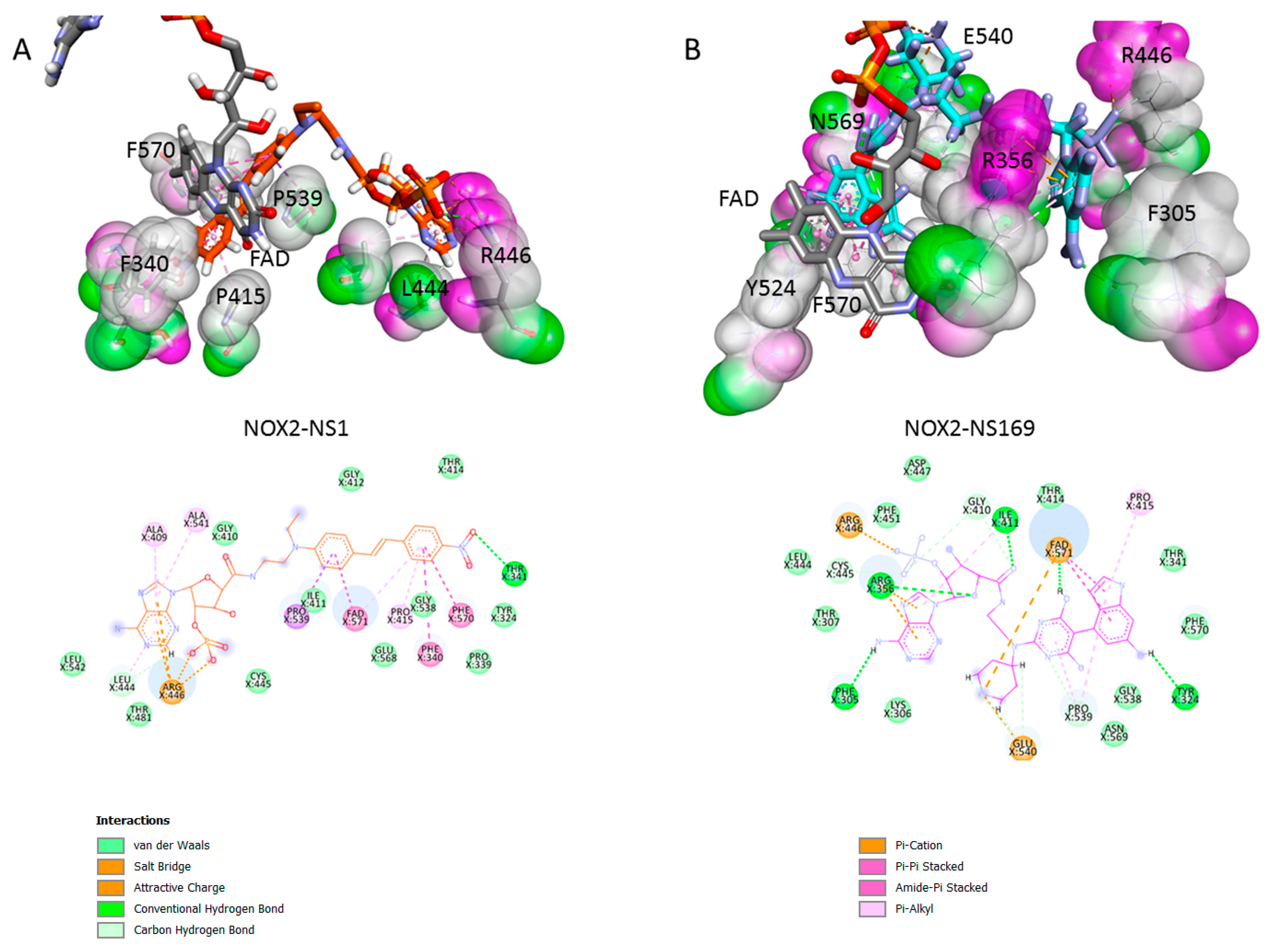 Antioxidants 12 00440 g007 Antioxidants 12 00440 g007