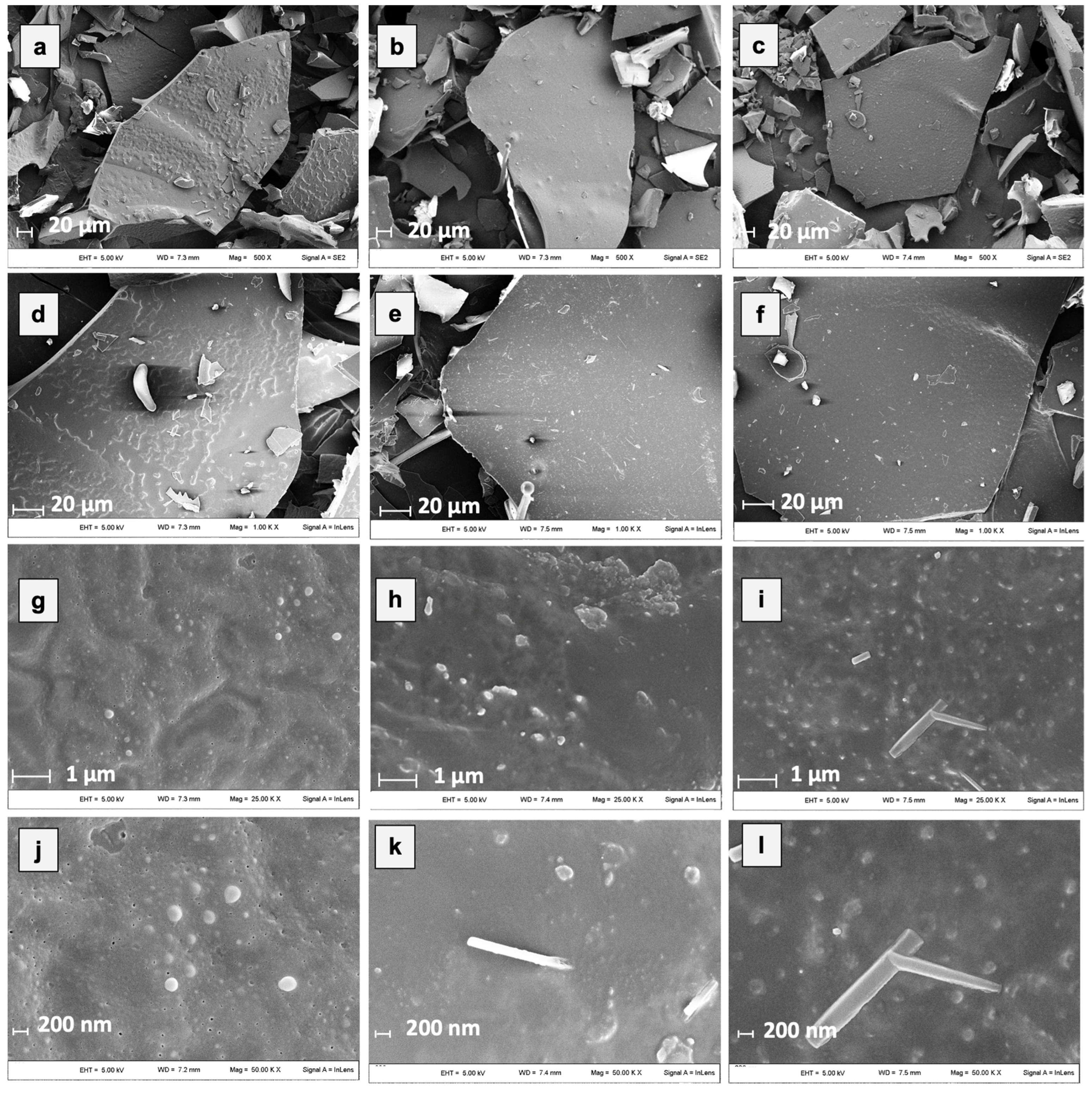 Antioxidants 12 00442 g003