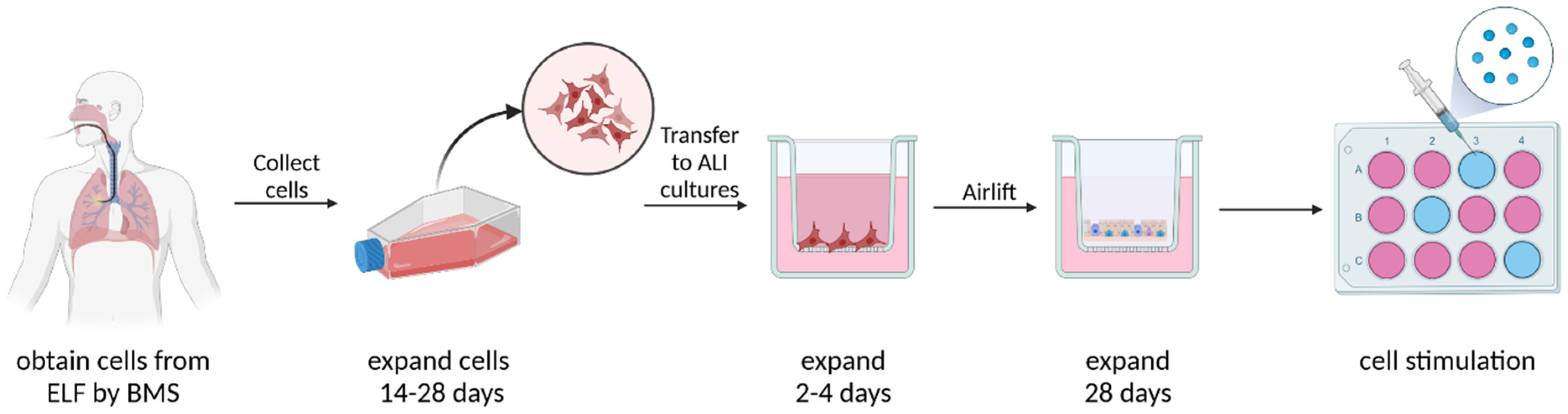 Antioxidants 12 00443 g001