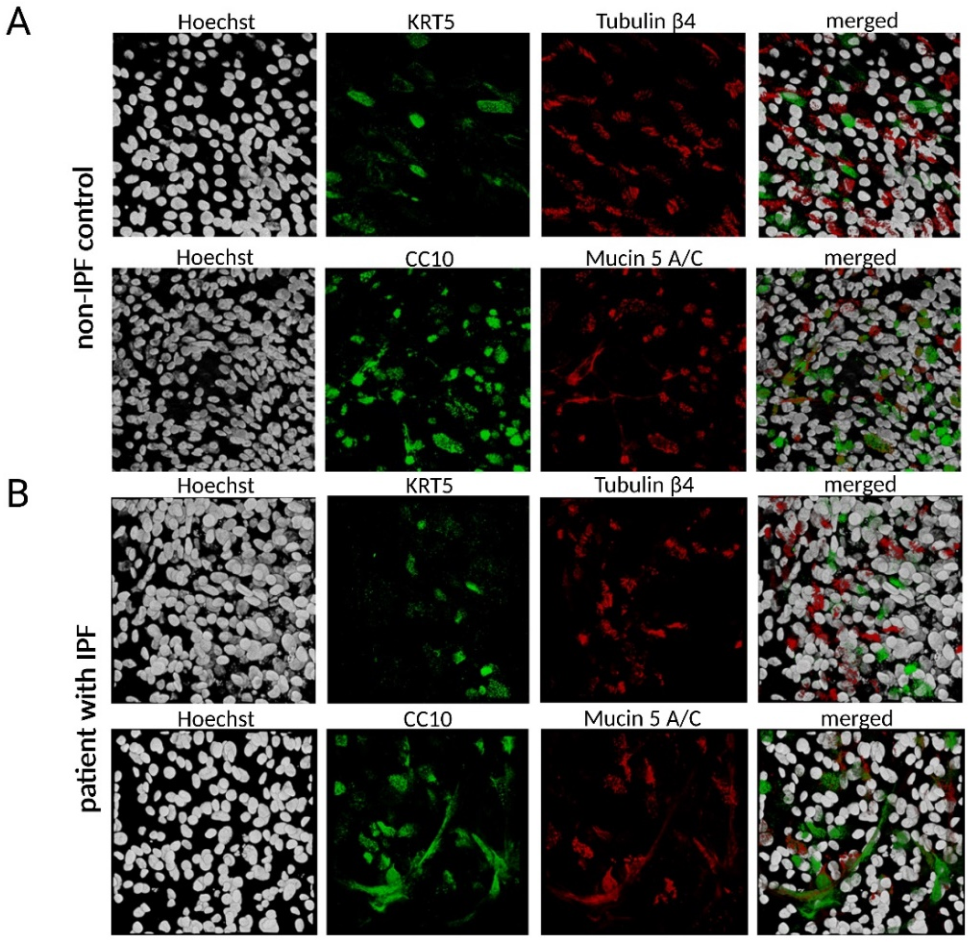 Antioxidants 12 00443 g002