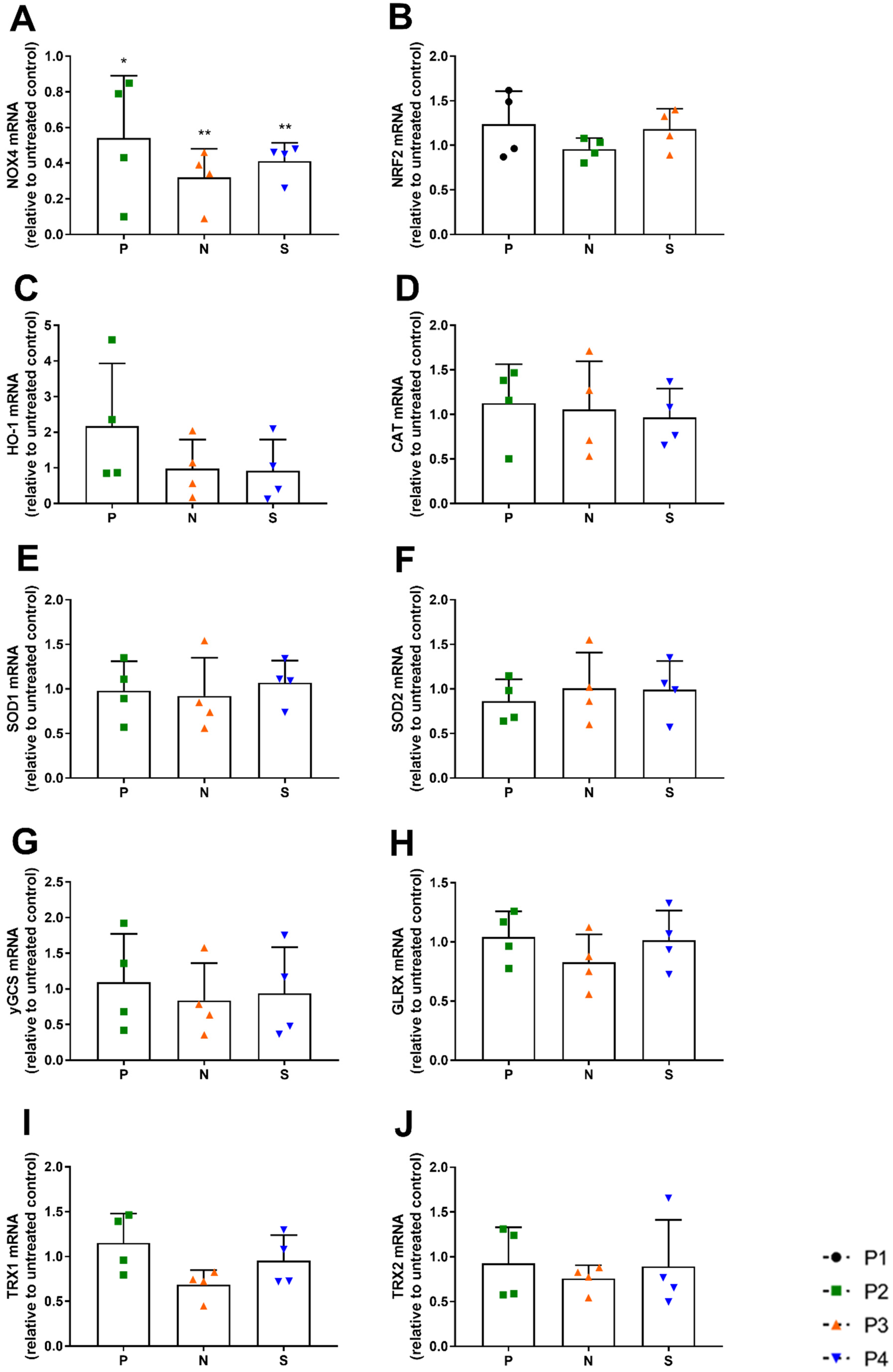Antioxidants 12 00443 g004