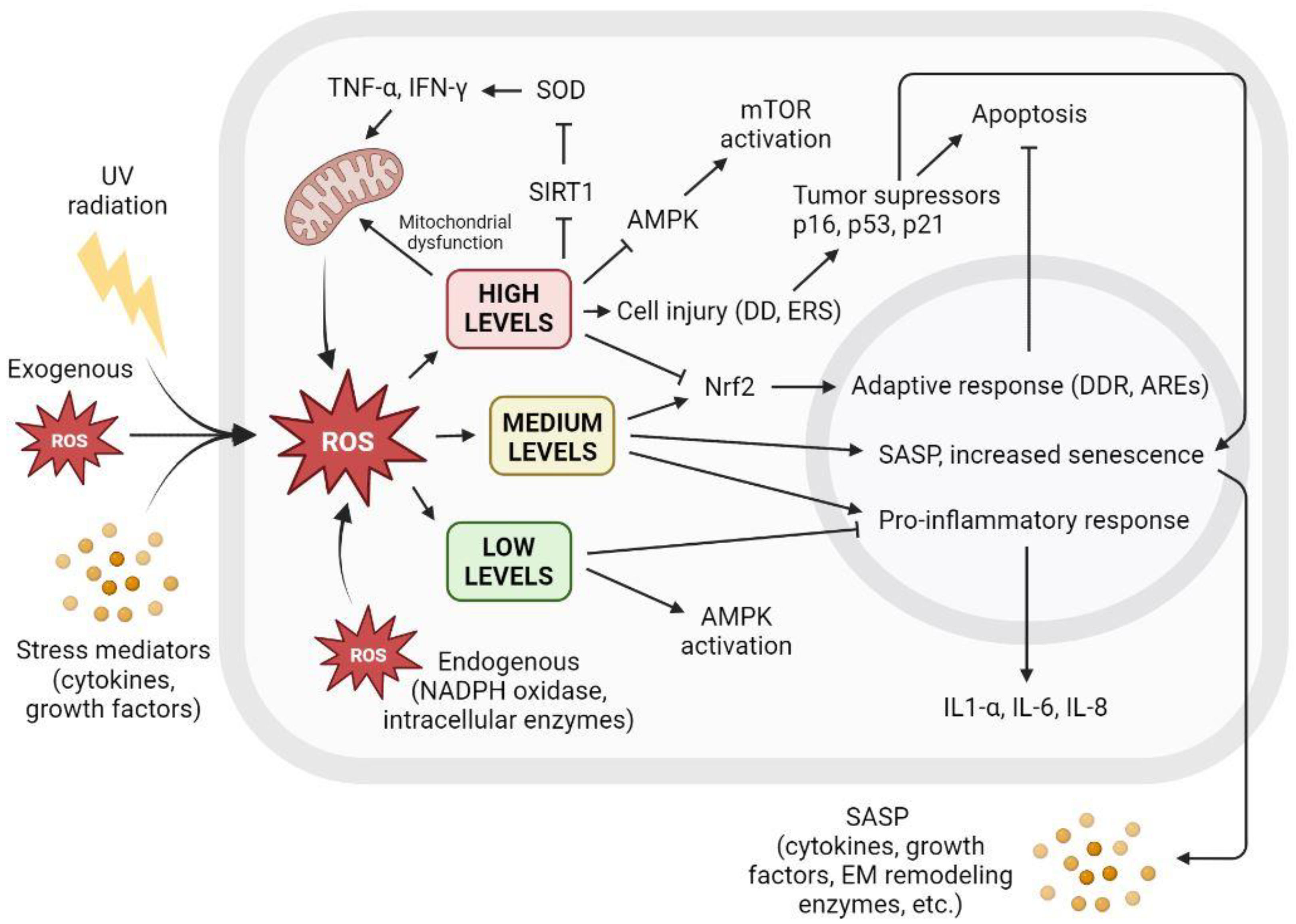 Antioxidants 12 00444 g005