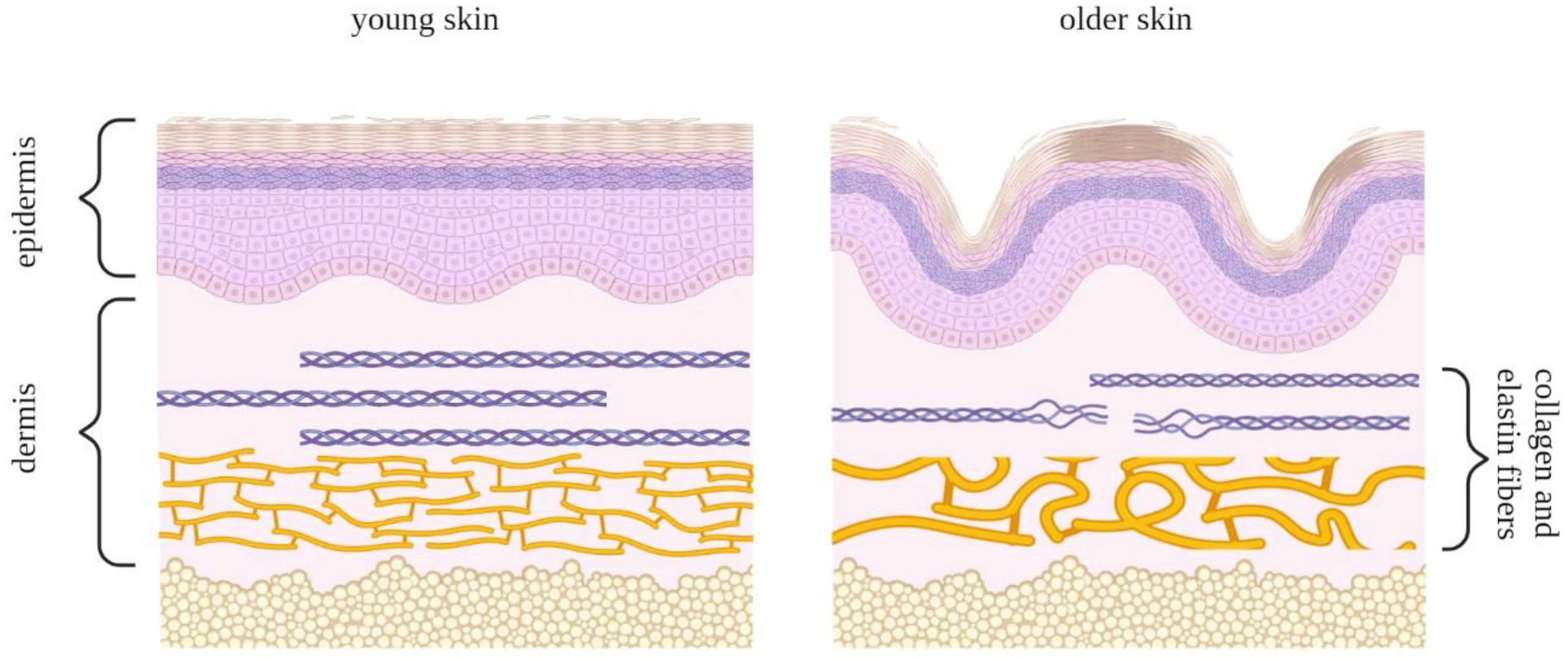 Antioxidants 12 00444 g006