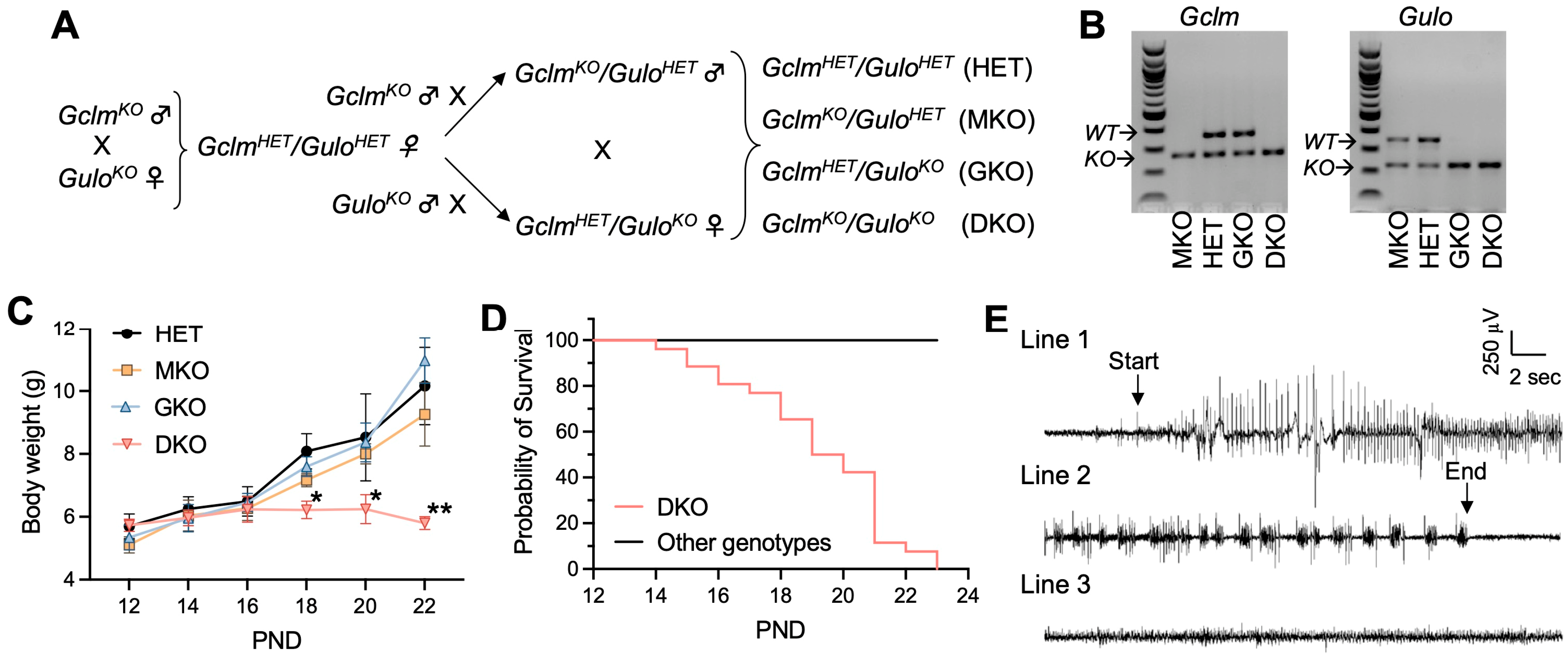 Antioxidants 12 00448 g001