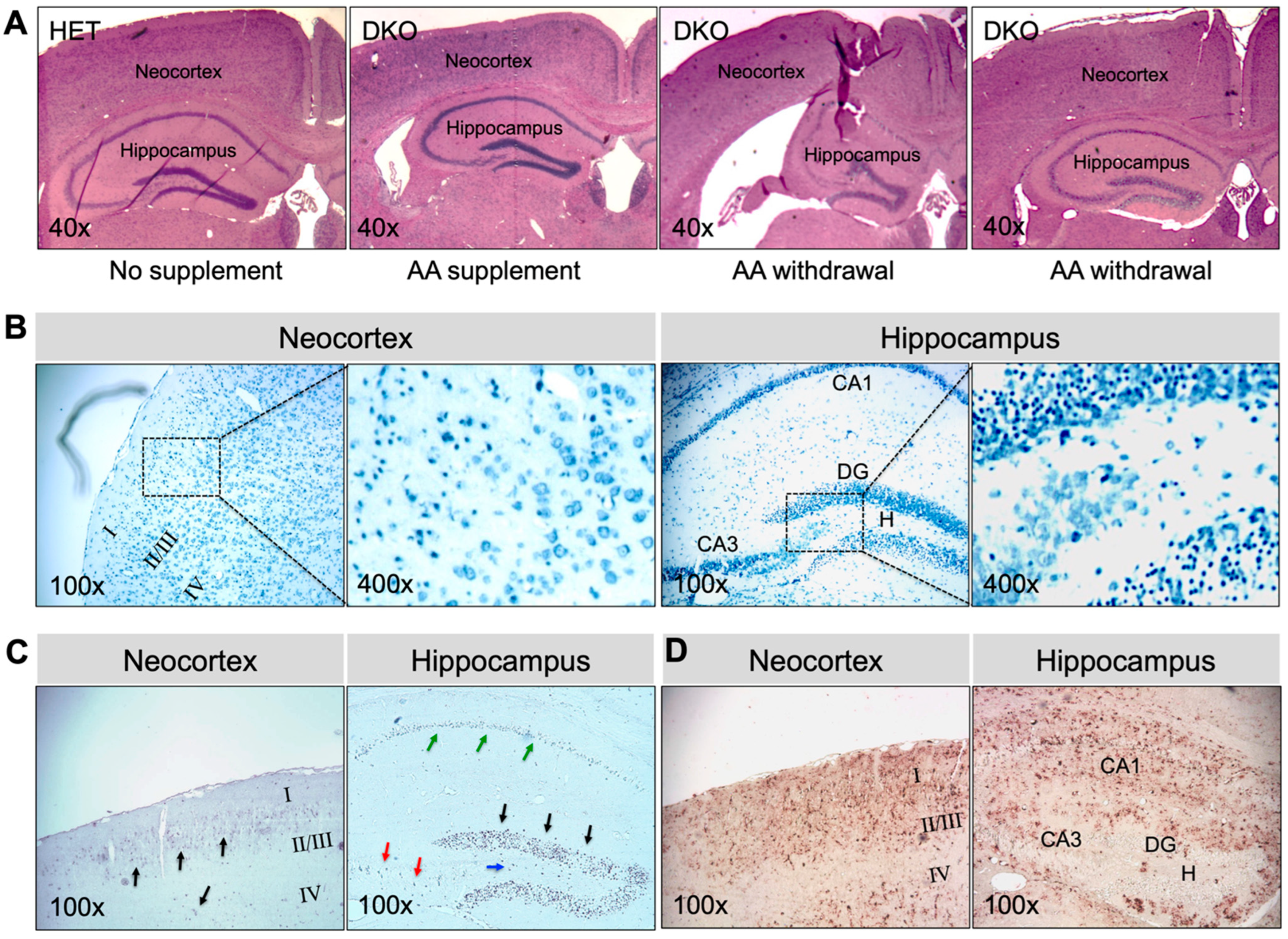 Antioxidants 12 00448 g005
