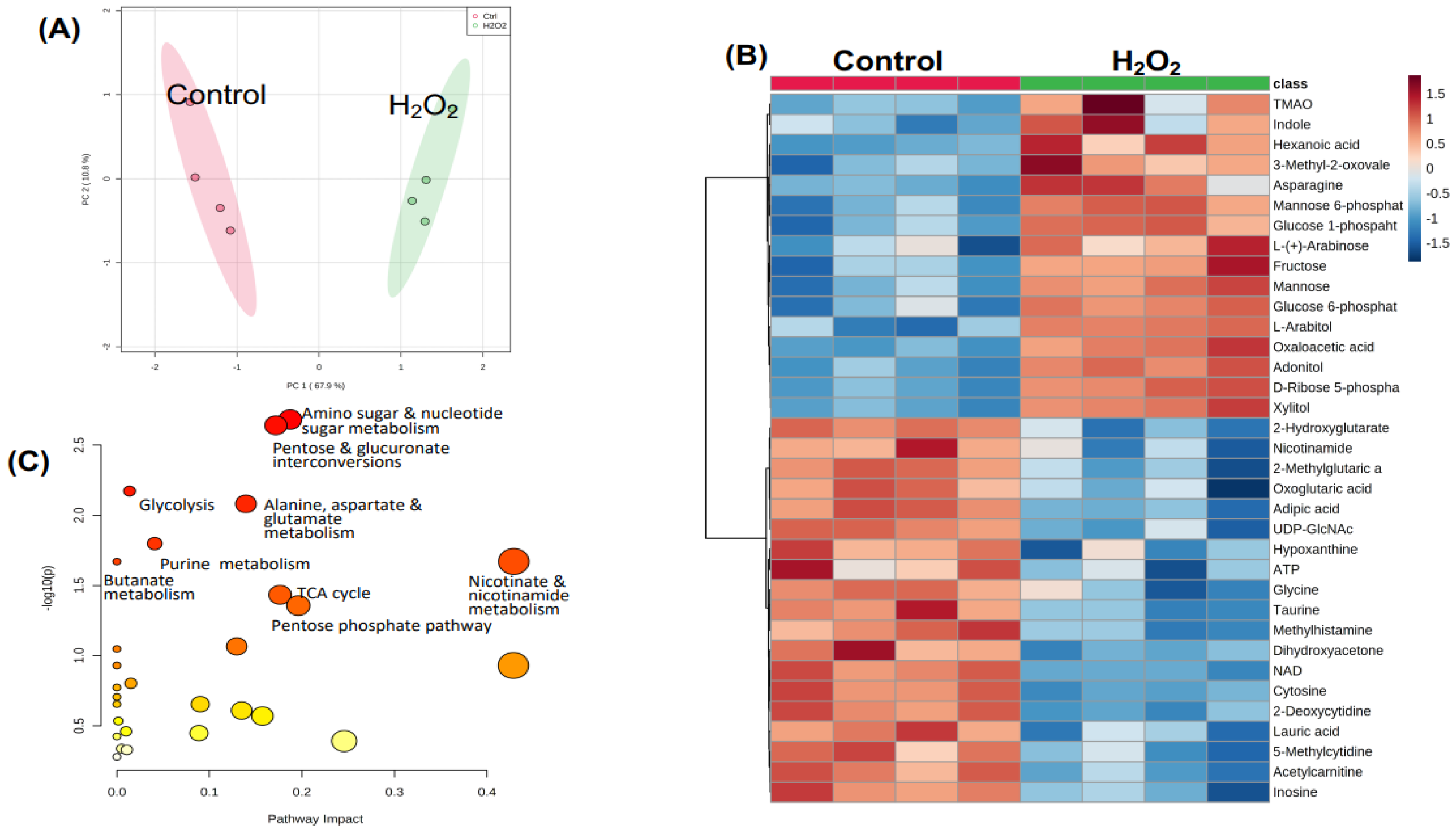 Antioxidants 12 00452 g003