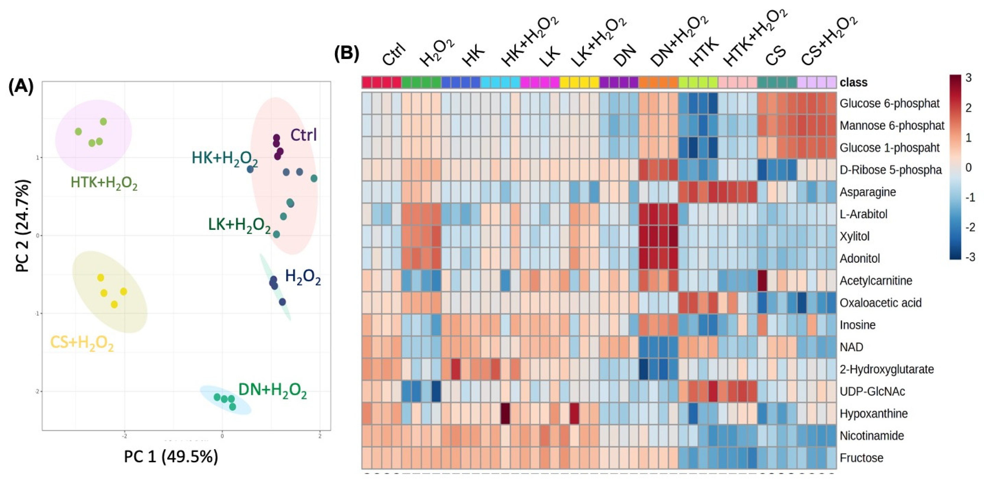 Antioxidants 12 00452 g004