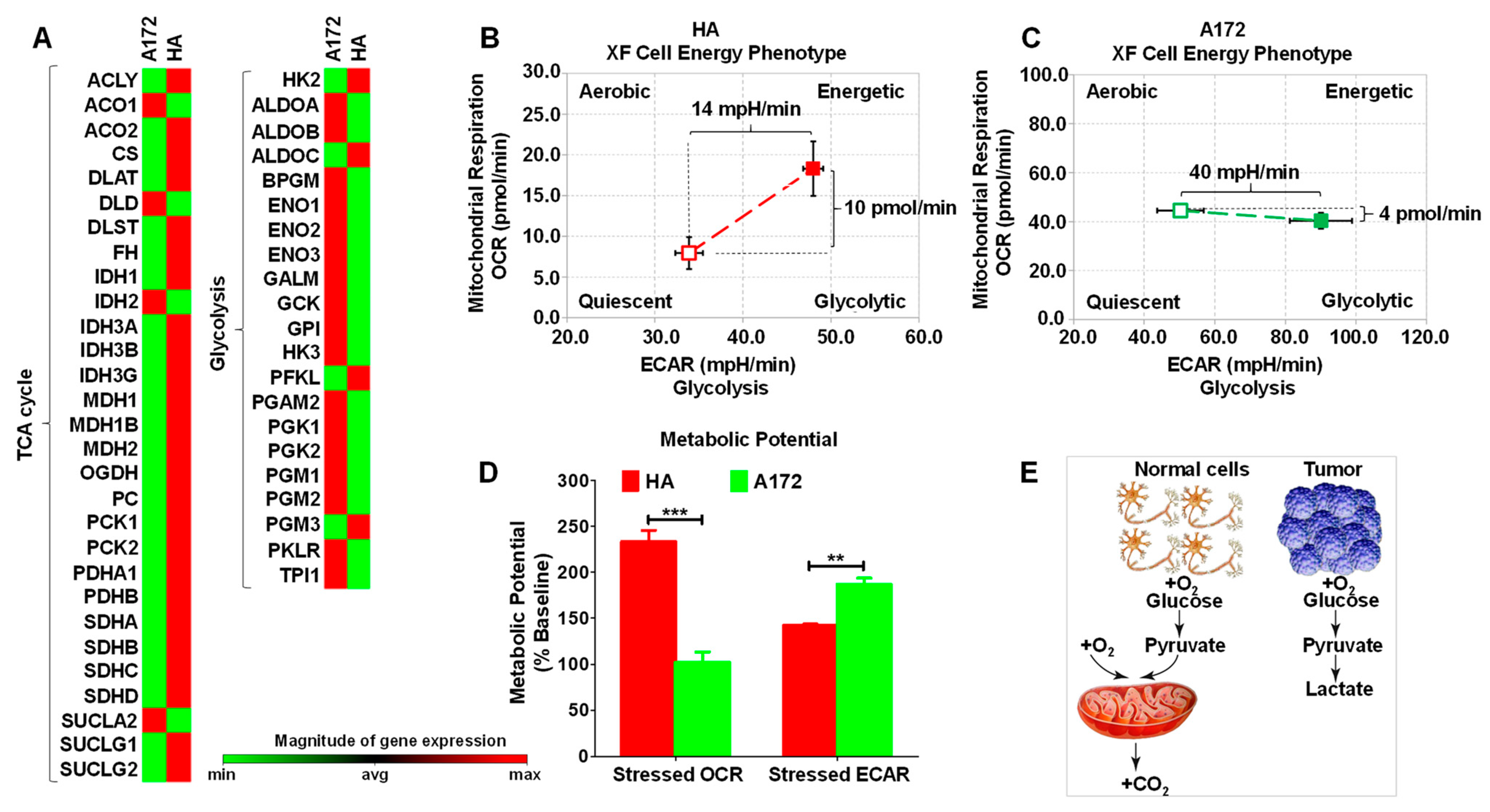 Antioxidants 12 00453 g001