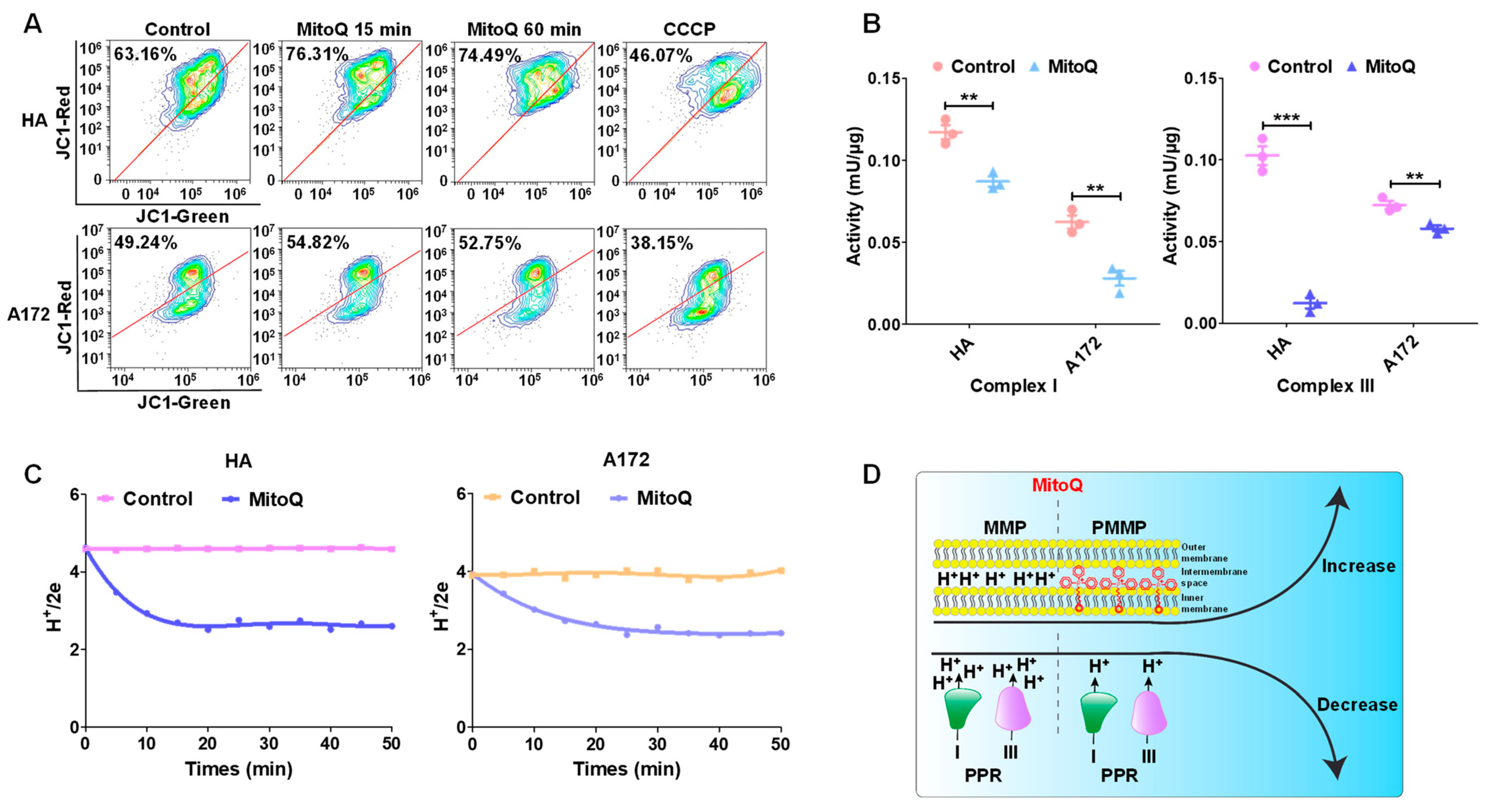 Antioxidants 12 00453 g003