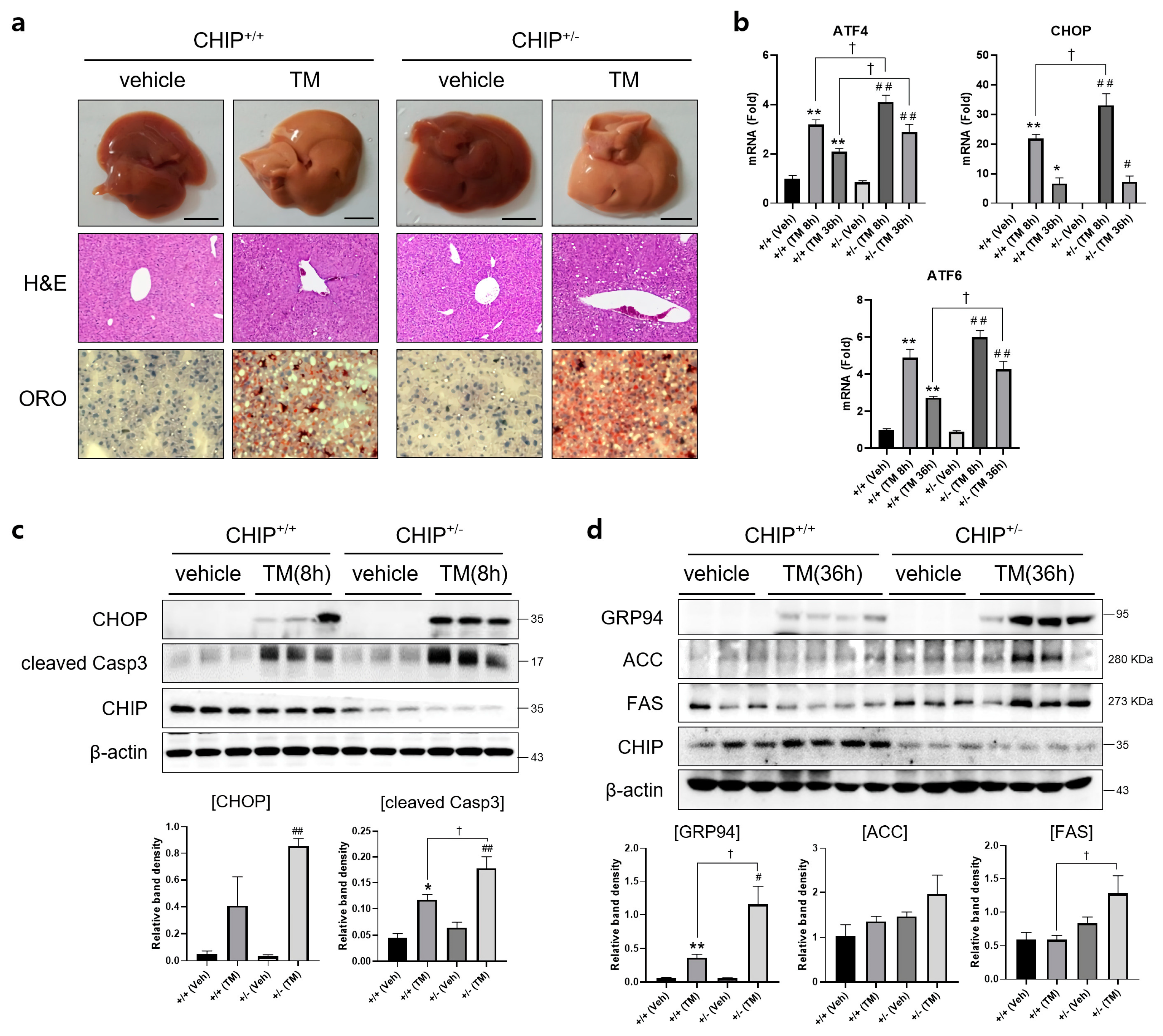 Antioxidants 12 00458 g002