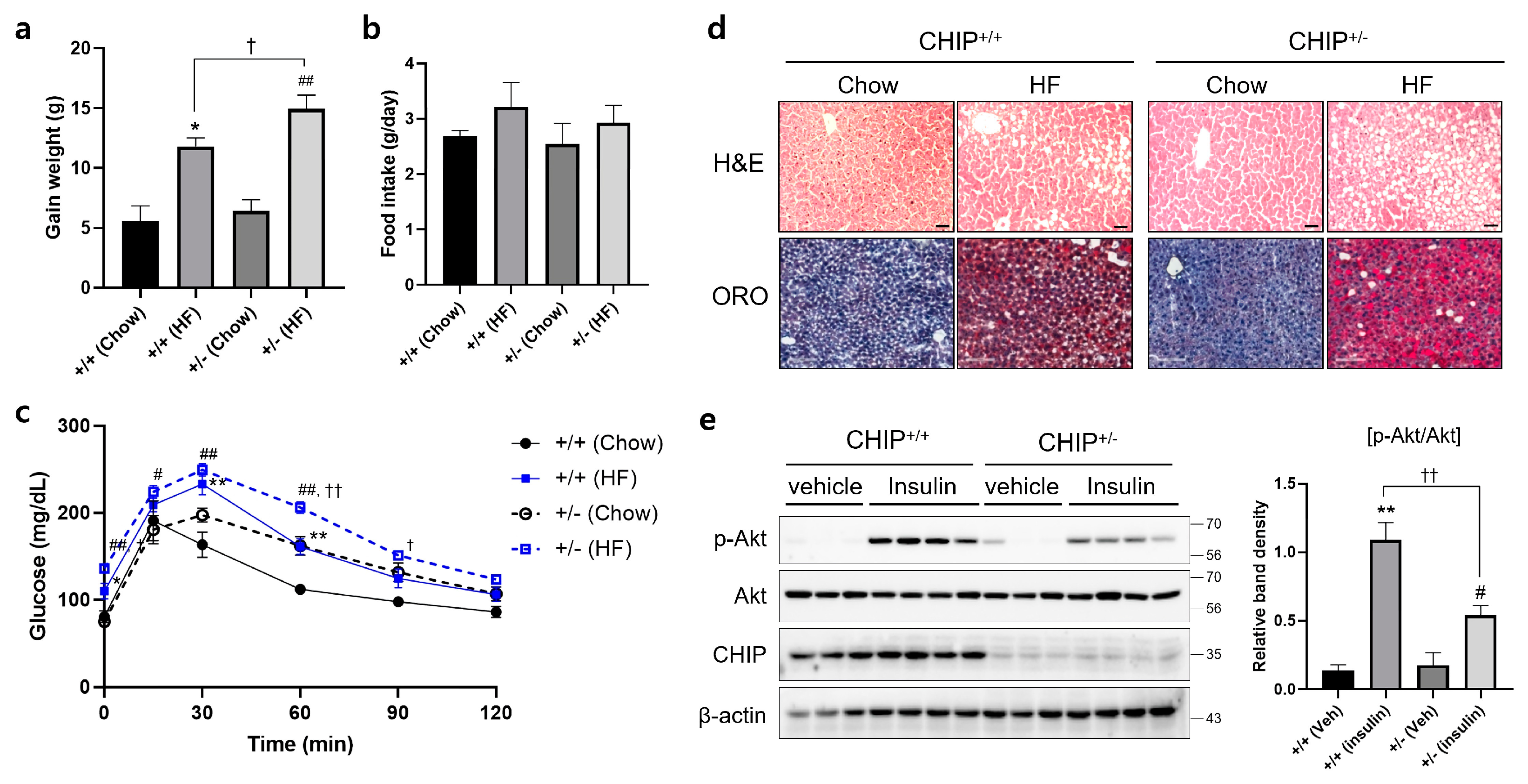 Antioxidants 12 00458 g003