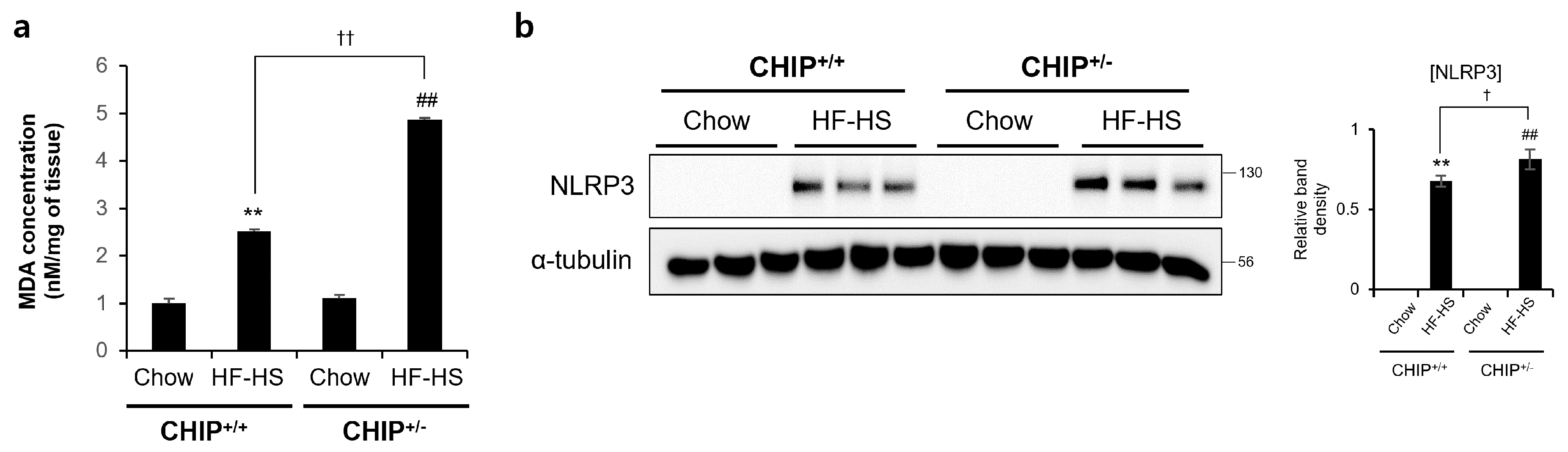 Antioxidants 12 00458 g005