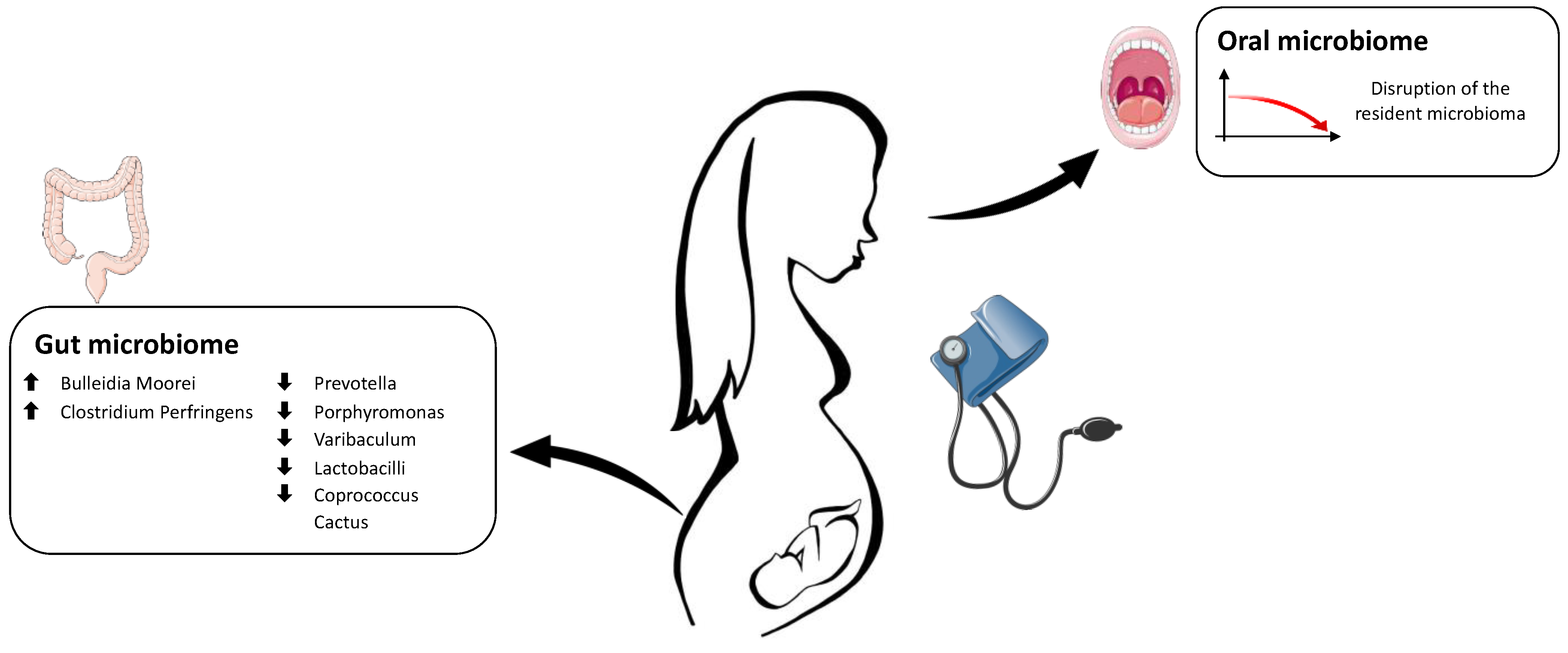 Antioxidants 12 00463 g002
