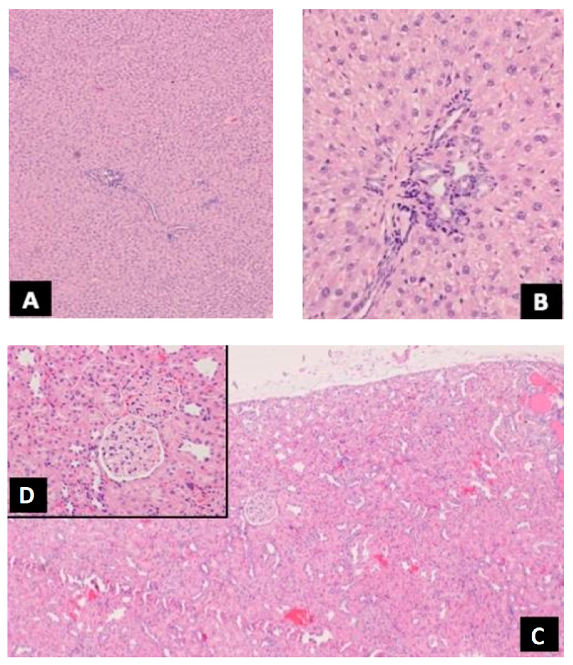 Antioxidants 12 00464 g003