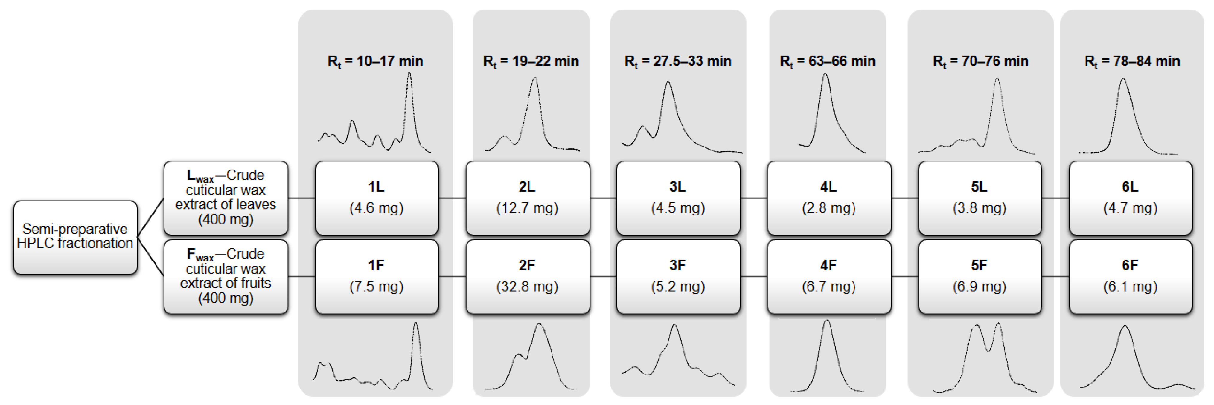 Antioxidants 12 00465 g001