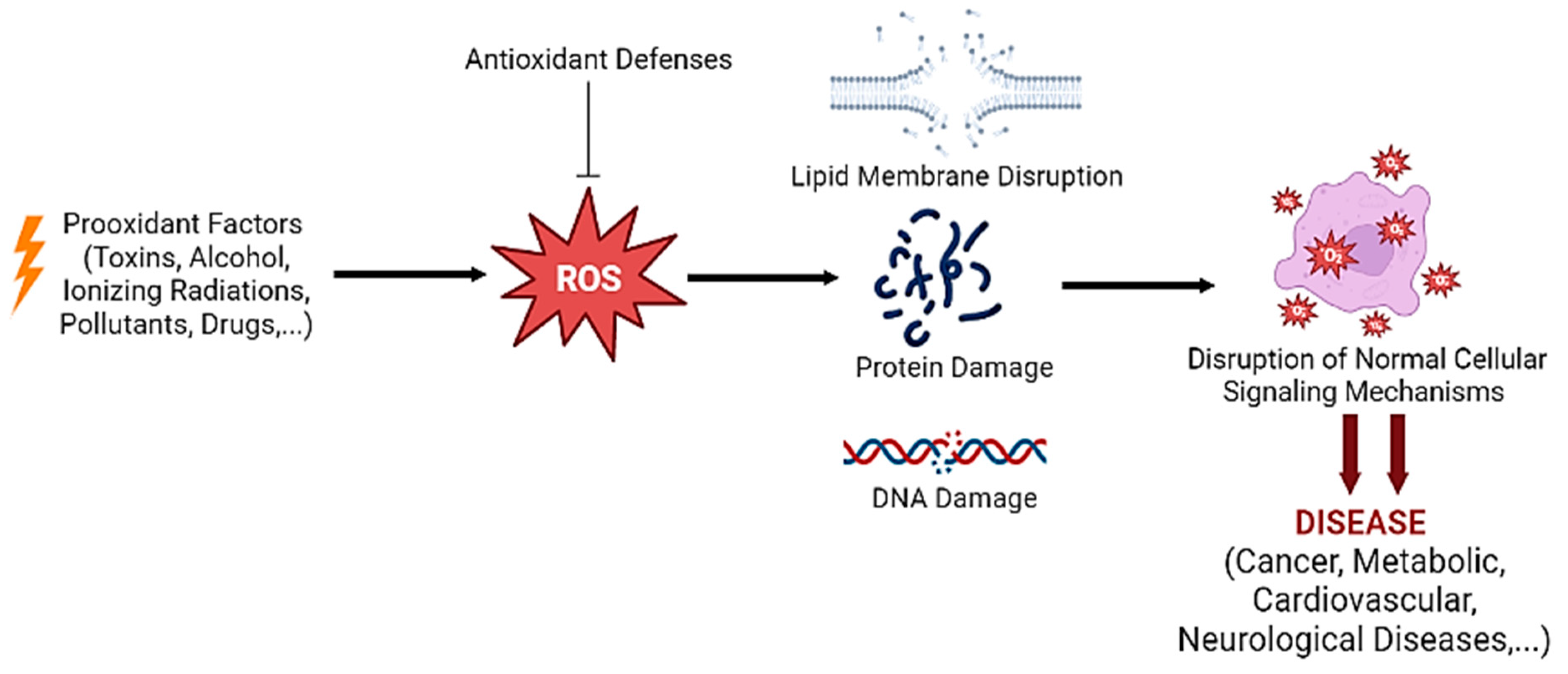 Antioxidants 12 00470 g001