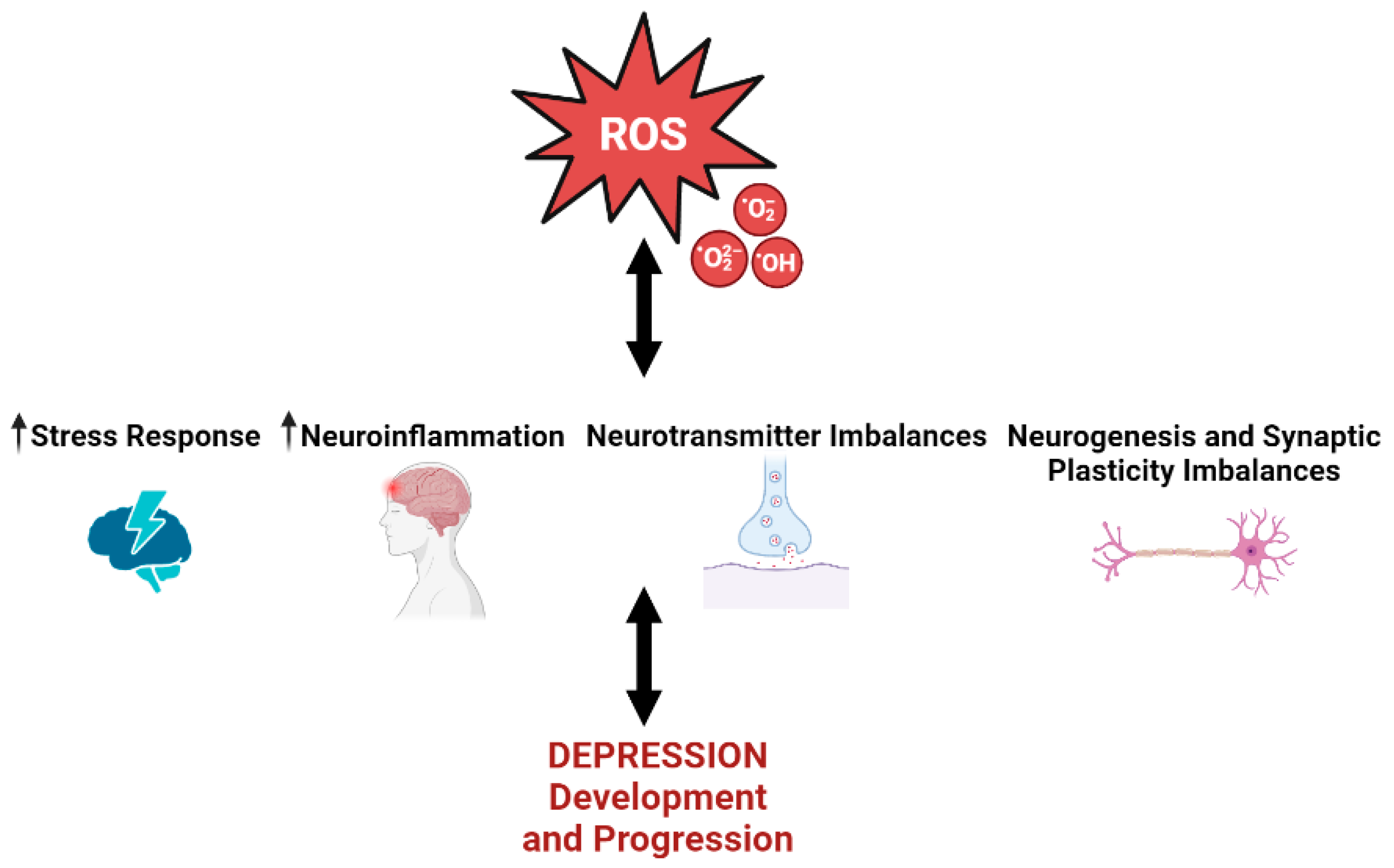 Antioxidants 12 00470 g002