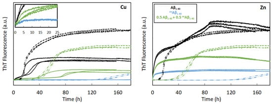 Antioxidants 12 00472 g006
