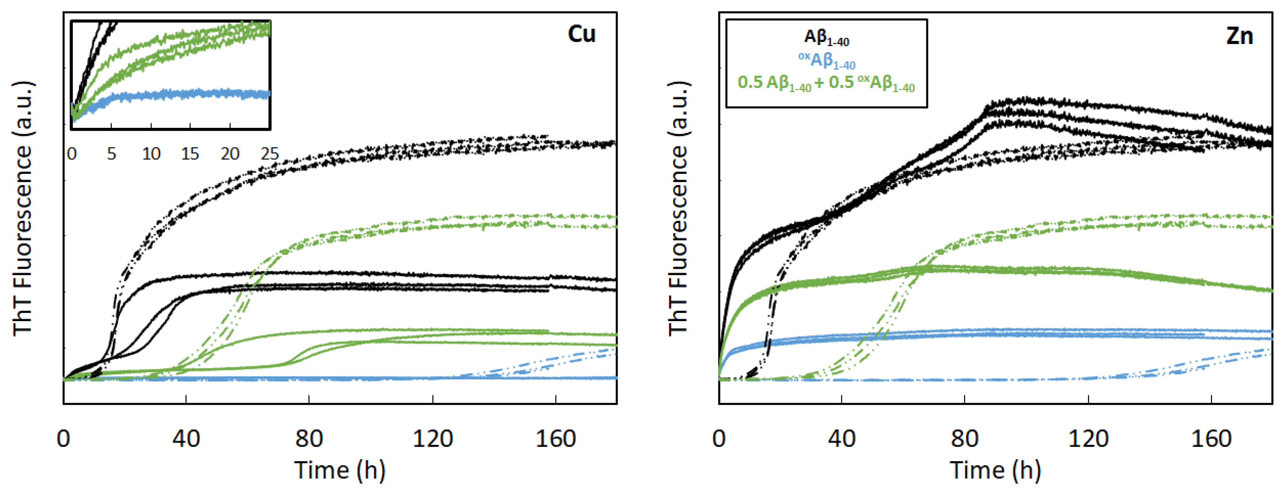 Antioxidants 12 00472 g006