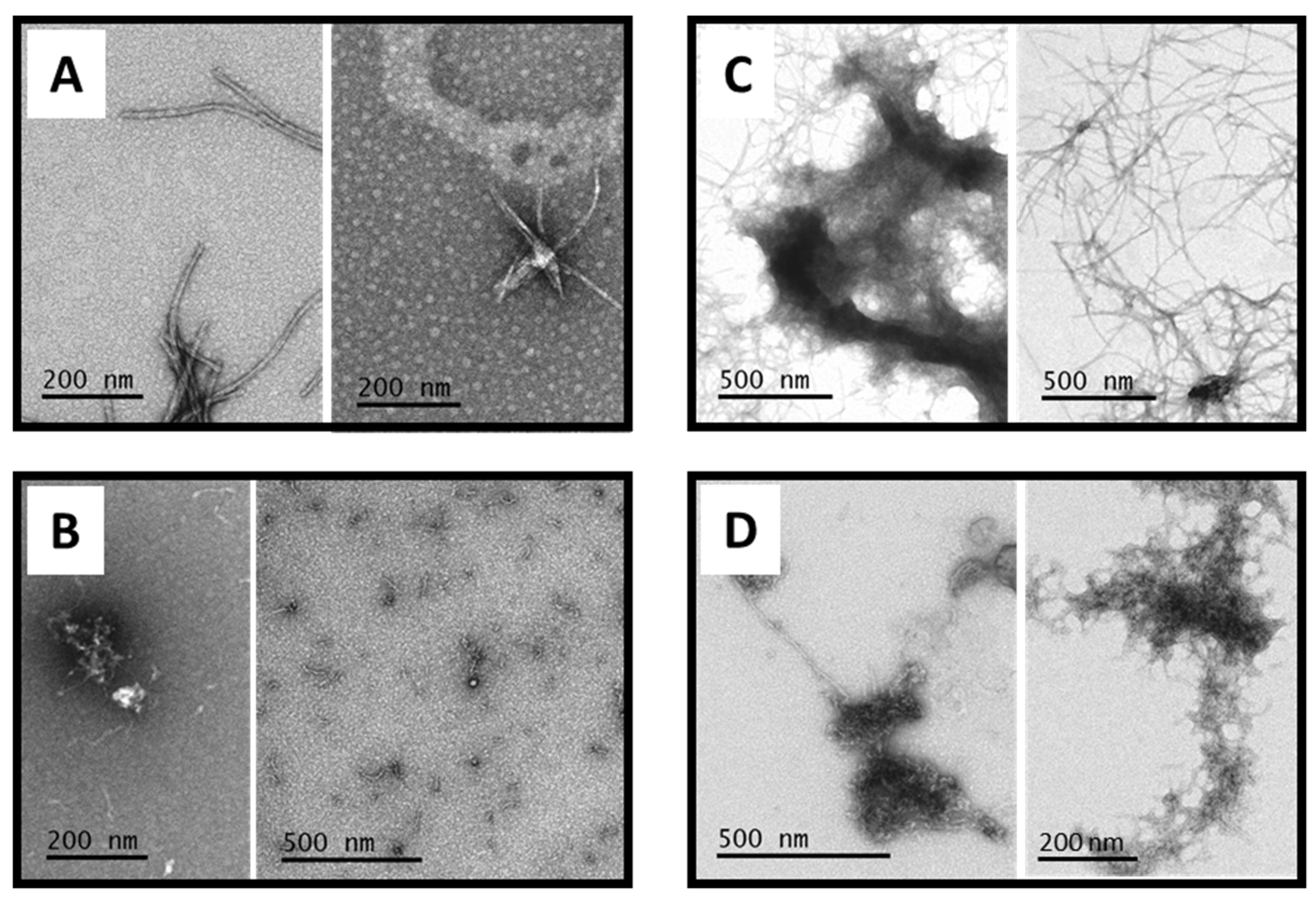 Antioxidants 12 00472 g007